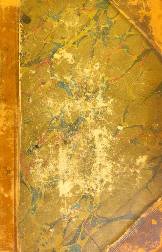 No text description is available for this image