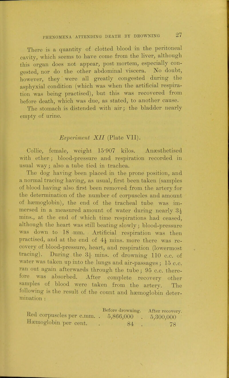 There is a quantity of clotted blood in tlie peritoneal cavity, wliicli seems to have come from the liver, although this organ does not appear, post mortem, especially con- gested, nor do the other abdominal viscera. No doubt, however, they' were all greatly congested during the asphyxial condition (which was when the artificial respira- tion was being practised), but this was recovered from before death, which was due, as stated, to another cause. The stomach is distended with air; the bladder nearly empty of urine. Experiment XII (Plate VII). Collie, female, weight 15907 kilos. AnEesthetised with ether; blood-pressure and respiration recorded in usual way; also a tube tied in trachea. The dog having been placed in the prone position, and a normal tracing having, as usual, first been taken (samples of blood having also first been removed from the artery for the determination of the number of corpuscles and amount of hemoglobin), the end of the tracheal tube was im- mersed in a measured amount of water during nearly 3^ mins., at the end of which time respirations had ceased, although the heart was still beating slowly; blood-pressure was down to 18 mm. Artificial respiration was then practised, and at the end of 4| mins. more there was re- covery of blood-pressure, heart, and respiration (loAvermost tracing). During the 3.]- mins. of drowning 110 c.c. of water was taken up into the lungs and air-passages ; 15 c.c. ran out again afterwards through the tube; 95 c.c. there- fore was absorbed. After complete recovery other samples of blood were taken from the artery. The following is the result of the count and hasmoglobin deter- mination : Before drowning. After recovery. Ked corpuscles per c.mra. . 5,866,000 . 5,300,000 ' Haemoglobin per cent. . 84 . 78