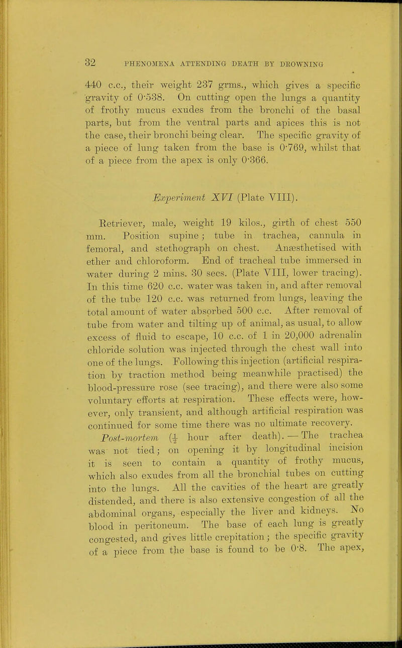 440 C.C., their weiglit 237 grms., which, gives a specific ■gravity of 0538. On cutting open the lungs a quantity of frothy mucus exudes from the bronchi of the basal parts, but from the ventral parts and apices this is not the case, their bronchi being clear. The specific gravity of a piece of lung taken from the base is 0'769, whilst that of a piece from the apex is only 0'366. Experiment XVI (Plate YIII). Retriever, male, weight 19 kilos., girth of chest 550 mm. Position supine; tube in trachea, cannula in femoral, and stethograph on chest. Anaesthetised with ether and chloroform. End of tracheal tube immersed in water during 2 mins. 30 sees. (Plate YIII, lower tracing). In this time 620 c.c. water was taken in, and after removal of the tube 120 c.c. was returned from lungs, leaving the total amount of water absorbed 500 c.c. After removal of tube from water and tilting up of animal, as usual, to allow excess of flu.id to escape, 10 c.c. of 1 in 20,000 adrenalin chloride solution was injected through the chest wall into one of the lungs. Following this injection (artificial respira- tion by traction method being meanwhile practised) the blood-pressure rose (see tracing), and there were also some voluntary efforts at respiration. These effects were, how- ever, only transient, and although artificial respiration was continued for some time there was no ultimate recovery. Post-mortem [\ hour after death).—The trachea was not tied; on opening it by longitudinal incision it is seen to contain a quantity of frothy mucus, which also exudes from all the bronchial tubes on cutting into the lungs. All the cavities of the heart are greatly distended, and there is also extensive congestion of all the abdominal organs, especially the liver and kidneys. No blood in peritoneum. The base of each lung is greatly congested, and gives little crepitation; the specific gravity of a piece from the base is found to be O'S. The apex,