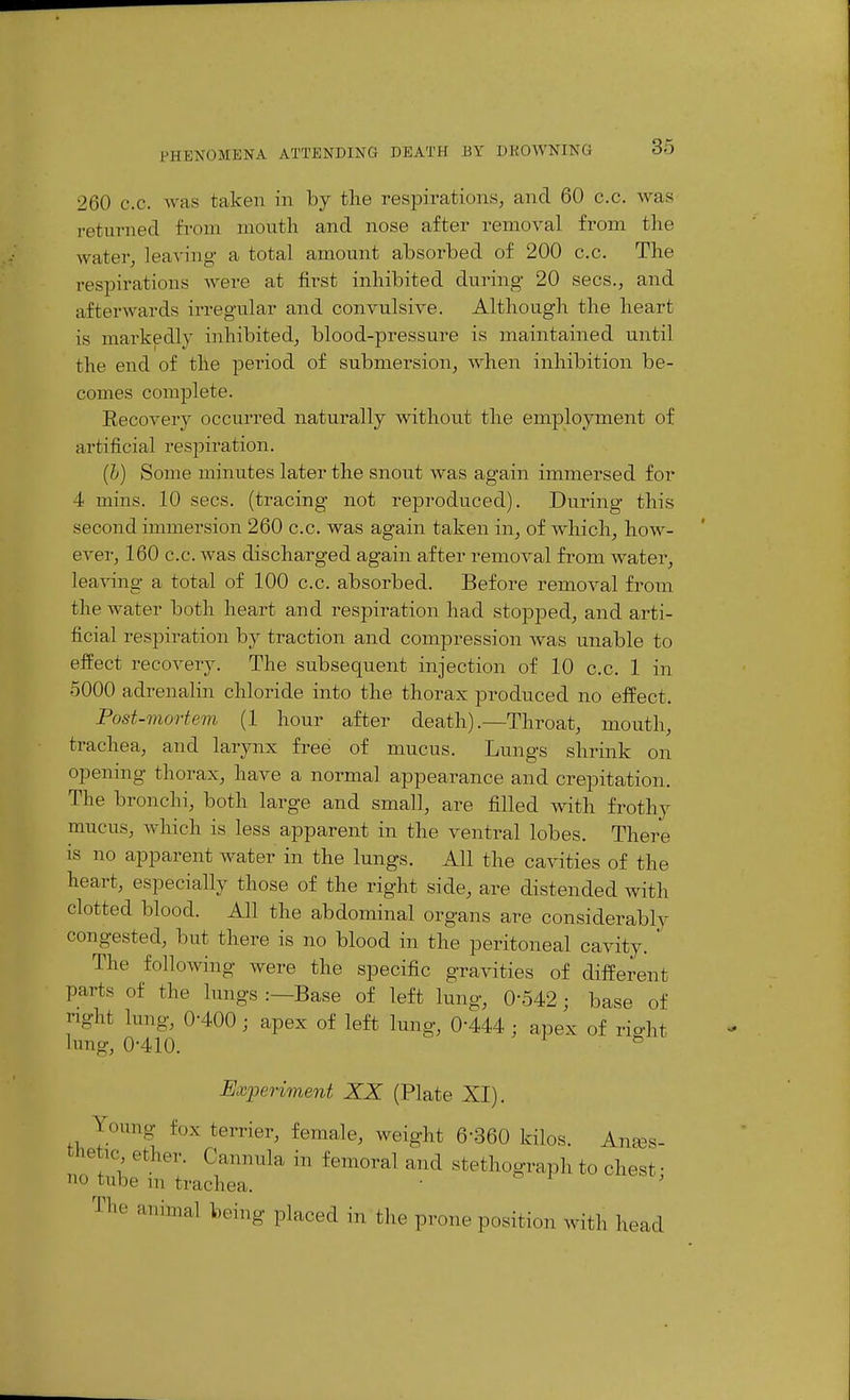 260 c.c. was taken in by the respirations, and 60 c.c. was returned from mouth and nose after removal from the water, leaving a total amount absorbed of 200 c.c. The respirations Avere at first inhibited during 20 sees., and afterwards irregular and convulsive. Although the heart is markedly inhibited, blood-pressure is maintained until the end of the pei'iod of submersion, when inhibition be- comes complete. Eecovery occurred naturally without the employment of artificial respiration. (h) Some minutes later the snout was again immersed for 4 mins. 10 sees, (tracing not reproduced). During this second immersion 260 c.c. was again taken in, of which, how- ever, 160 c.c. was discharged again after removal from water, lea^nng a total of 100 c.c. absorbed. Before removal from the water both heart and respiration had stopped, and arti- ficial respiration by traction and compression was unable to elfect recovery. The subsequent injection of 10 c.c. 1 in 5000 adrenalin chloride into the thorax produced no effect. Post-mortem (1 hour after death).—Throat, mouth, trachea, and larynx free of mucus. Lungs shrink on openmg thorax, have a normal appearance and crepitation. The bronchi, both large and small, are filled with frothy mucus, which is less apparent in the ventral lobes. There is no apparent water in the lungs. All the cavities of the heart, especially those of the right side, are distended with clotted blood. All the abdominal organs are considerably congested, but there is no blood in the peritoneal cavity. ' The following were the specific gravities of different parts of the lungs :—Base of left lung, 0-542; base of right lung, 0-400; apex of left lung, 0-444 ; apex of right lung, 0-410. ® Experiment XX (Plate XI). Young fox terrier, female, weight 6-360 kilos. Anes- thetic ether. Cannula in femoral and stethograph to chest- no tube m trachea. ■ ' The animal being placed in the prone position with head