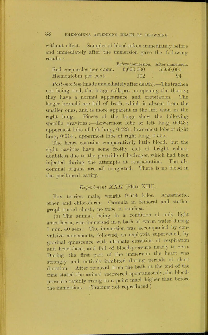 without effect. Samples of blood taken immediately before and immediately after the immersion gave the following results : Before immersion. After immersion. Red corpuscles per c.mm. 6,600,000 . 5,950,000 Haemoglobin per cent. . 102 . 94 Post-mortem (made immediately after death).—The trachea not being tied, the lungs collapse on opening the thorax; they have a normal appearance and crepitation. The larger bronchi are full of froth, which is absent from the smaller ones, and is more apparent in the left than in the right lung. Pieces of the lungs show the follomng specific gravities :—Lowermost lobe of left lung, 0*648; uppermost lobe of left lung, 0'428 ; lowermost lobe of right lung, 0'614 ; uppermost lobe of right lung, 0555. The heart contains comparatively little blood, but the I'ight cavities have some frothy clot of bright colour, doubtless due to the peroxide of hydrogen which had been injected during the attempts at resuscitation. The ab- dominal organs are all congested. There is no blood in the peritoneal cavity. E,^oeriment XXII (Plate XIII). Fox terrier, male, weight 9-544 kilos. Anesthetic, ether and chloroform. Cannula in femoral and stetho- graph round chest; no tube in trachea. [a] The animal, being in a condition of only light antesthesia, was immersed in a bath of warm water during 1 min. 40 sees. The immersion was accompanied by con- vulsive movements, followed, as asphyxia supervened, by gradual quiescence with ultimate cessation of respiration and heart-beat, and fall of blood-pressure nearly to zero. During the first part of the immersion the heart was strongly and entirely inhibited during periods of short duration. After removal from the bath at the end of the time stated the animal recovered spontaneously, the blood- pressure rapidly rising to a point much higher than before the immersion. (Tracing not reproduced.)