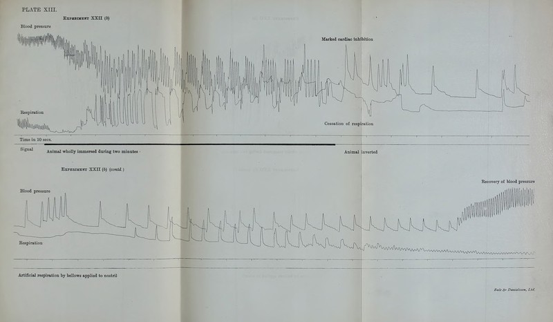 PLATE Blood pressure EXFBBIMBNT XXII (6) Artificial respiration by bellows applied to Qostril