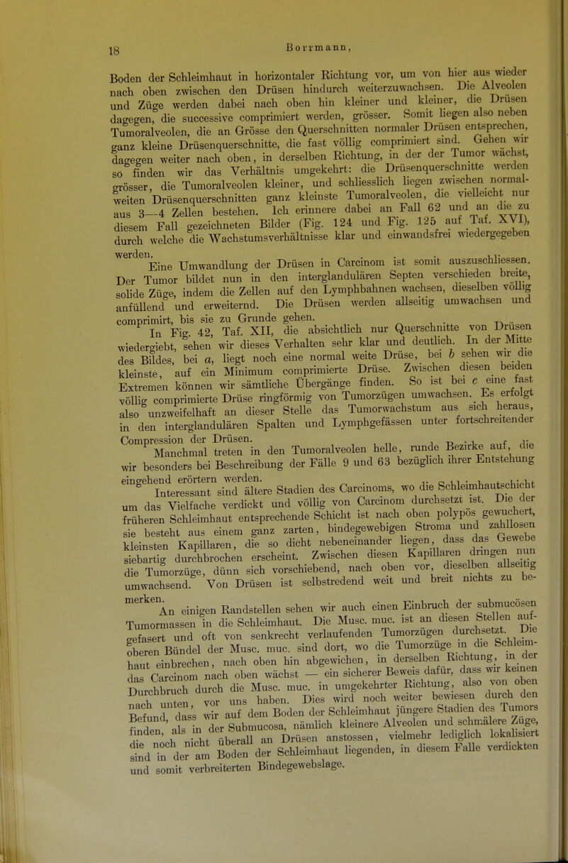 Boden der Schleimhaut in horizontaler Richtung vor, um von hier aus wieder nach oben zwischen den Drüsen hindurch weiterzuwachsen. Die Alveolen und Züge werden dabei nach oben hin kleiner und kleiner, die Drusen dagegen, die successive comprimiert werden, grösser. Somit liegen also neben Tumoralveolen, die an Grösse den Querschnitten normaler Drüsen entsprechen, ganz kleine Drüsenquerschnitte, die fast völlig comprimiert sind. Gehen wir dagegen weiter nach oben, in derselben Richtung, in der der Tumor wachst, so Inden wir das Verhältnis umgekehrt: die Drüsenquerschnitte werden grösser, die Tumoralveolen kleiner, und schliesslich liegen zwischen normal- weiten Drüsenquerschnitten ganz kleinste Tumoralveolen die vielleich nur aus 3-4 Zellen bestehen. Ich erinnere dabei an Fall 62 und an die zu diesem Fall gezeichneten Bilder (Fig. 124 und Fig. 125 auf Tal XVI), durch welche die Wachstumsverhältnisse klar und emwandsfrei wiedergegeben WerdeiEine Umwandlung der Drüsen in Carcinom ist somit auszuschliessen. Der Tumor bildet nun in den interglandulären Septen verschieden breite, solide Züge, indem die ZeUen auf den Lymphbahnen wachsen, dieselben völlig anfüllend und erweiternd. Die Drüsen werden allseitig umwachsen und comprimirt, bis sie zu Grunde gehen. m In Fig 42 Taf XII, die absichtlich nur Querschnitte von Drusen wiedergiebt, sehen wir dieses Verhalten sehr klar und deutlich In der Mitte des Bildes, bei a, liegt noch eine normal weite Drüse, bei b sehen wir die kleinste, auf ein Minimum comprimierte Drüse. Zwischen diesen beiden Extremen können wir sämtliche Übergänge finden. So ist bei c eine fast völlig comprimierte Drüse ringförmig von Tumorzügen umwachsen. Es erfolgt also unzweifelhaft an dieser SteUe das Tumorwachstum aus sich heraus, in den interglandulären Spalten und Lymphgefässen unter fortschreitender Compression der Drüsen. _ . , ,. P Manchmal treten in den Tumoralveolen helle nmde Bezirke auf die wir besonders bei Beschreibung der Fälle 9 und 63 bezügl.ch ihrer Entstehung ^t^^TZtSL Stadien des Carcinoms, wo die Schleimhautschicht um das Vielfache verdickt und völlig von Carcinom durchsetzt ist. Die der früheren Schleimhaut entsprechende Schicht ist nach oben polypös gönnte* sfe besteht aus einem ganz zarten, bindegewebigen Stroma und zahllosen kTeinsten Kapillaren, die so dicht nebeneinander liegen, dass das Gewebe S tt durchbroch n erscheint. Zwischen diesen Kapillaren dringen nun die Tumorzüge, dünn sich vorschiebend, nach oben vor dieselben allseitig umwachsend Von Drüsen ist selbstredend weit und breit nichts zu be- merkeAn einigen Randstellen sehen wir auch einen Einbruch der submucösen Tumormassen in die Schleimhaut. Die Muse. muc ist an diesen Steen au- sfasert und oft von senkrecht verlaufenden Tumorzugen durchsetzt. De Seren Bündel der Muse. muc. sind dort, wo die Tumorzüge in die Schle.m- ÄS», nach oben hin abgewichen, in derselben Richtung, in der das Carcinom nach oben wächst - ein sicherer Beweis dafür, dass wir kernen Durchbrüch durch die Muse. muc. in umgekehrter Richtung, also von ob n Uurcnnrucn u weiter bemesen durch den Befund das's Z Z dem Boden der Schleimhaut jüngere Stadien des Tumors Befund, c ass wia• 1; h kl ; Alveoien und schmalere Zuge, finden, ms in der Sutoucosa im ^ n der am Boden d Schleimhaut liegenden, in diesem Falle verdickten und somit verbreiterten Bindegewebslage.