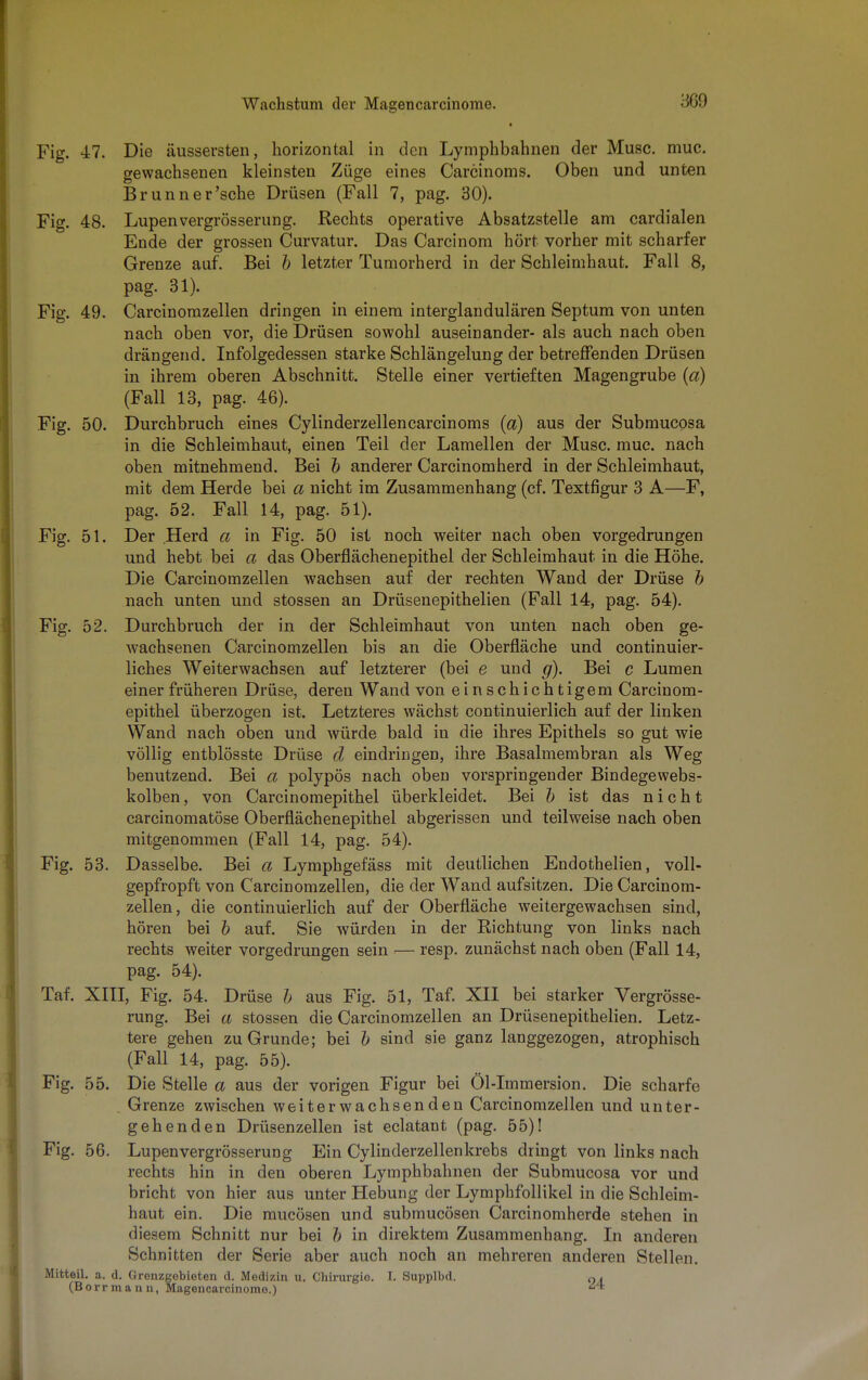 Fig. 47. Die äussersten, horizontal in den Lymphbahnen der Muse. muc. gewachsenen kleinsten Züge eines Carcinoms. Oben und unten Brunner'sche Drüsen (Fall 7, pag. 30). Fig. 48. Lupen vergrösser u ng. Rechts operative Absatzstelle am cardialen Ende der grossen Curvatur. Das Carcinom hört vorher mit scharfer Grenze auf. Bei b letzter Tumorherd in der Schleimhaut. Fall 8, pag. 31). Fig. 49. Carcinomzellen dringen in einem interglandulären Septum von unten nach oben vor, die Drüsen sowohl auseinander- als auch nach oben drängend. Infolgedessen starke Schlängelung der betreffenden Drüsen in ihrem oberen Abschnitt. Stelle einer vertieften Magengrube (ä) (Fall 13, pag. 46). Fig. 50. Durchbruch eines Cylinderzellencarcinoms (a) aus der Submucosa in die Schleimhaut, einen Teil der Lamellen der Muse. muc. nach oben mitnehmend. Bei b anderer Carcinomherd in der Schleimhaut, mit dem Herde bei a nicht im Zusammenhang (cf. Textfigur 3 A—F, pag. 52. Fall 14, pag. 51). Fig. 51. Der Herd a in Fig. 50 ist noch weiter nach oben vorgedrungen und hebt bei a das Oberflächenepithel der Schleimhaut in die Höhe. Die Carcinomzellen wachsen auf der rechten Wand der Drüse b nach unten und stossen an Drüsenepithelien (Fall 14, pag. 54). Fig. 52. Durchbruch der in der Schleimhaut von unten nach oben ge- wachsenen Carcinomzellen bis an die Oberfläche und continuier- liches Weiterwachsen auf letzterer (bei e und g). Bei c Lumen einer früheren Drüse, deren Wand von einschichtigem Carcinom- epithel überzogen ist. Letzteres wächst continuierlich auf der linken Wand nach oben und würde bald in die ihres Epithels so gut wie völlig entblösste Drüse d eindringen, ihre Basalmembran als Weg benutzend. Bei a polypös nach oben vorspringender Bindegewebs- kolben, von Carcinomepithel überkleidet. Bei b ist das nicht carcinomatöse Oberflächenepithel abgerissen und teilweise nach oben mitgenommen (Fall 14, pag. 54). Fig. 53. Dasselbe. Bei a Lymphgefäss mit deutlichen Endothelien, voll- gepfropft von Carcinomzellen, die der Wand aufsitzen. Die Carcinom- zellen, die continuierlich auf der Oberfläche weitergewachsen sind, hören bei b auf. Sie würden in der Richtung von links nach rechts weiter vorgedrungen sein — resp. zunächst nach oben (Fall 14, pag. 54). Taf. XIII, Fig. 54. Drüse b aus Fig. 51, Taf. XII bei starker Vergrösse- rung. Bei a stossen die Carcinomzellen an Drüsenepithelien. Letz- tere gehen zu Grunde; bei b sind sie ganz langgezogen, atrophisch (Fall 14, pag. 55). Fig. 55. Die Stelle a aus der vorigen Figur bei Öl-Immersion. Die scharfe . Grenze zwischen weiterwachsenden Carcinomzellen und unter- gehenden Drüsenzellen ist eclatant (pag. 55)! Fig. 56. Lupenvergrösserung Ein Cylinderzellenkrebs dringt von links nach rechts hin in den oberen Lymphbahnen der Submucosa vor und bricht von hier aus unter Hebung der Lymphfollikel in die Schleim- haut ein. Die mucösen und submucösen Carcinomherde stehen in diesem Schnitt nur bei b in direktem Zusammenhang. In anderen Schnitten der Serie aber auch noch an mehreren anderen Stellen. Mitteil. a. d. Grenzgebieten d. Medizin u. Chirurgie. I. Supplbd. q * (Borrmann, Magencarcinome.) ^