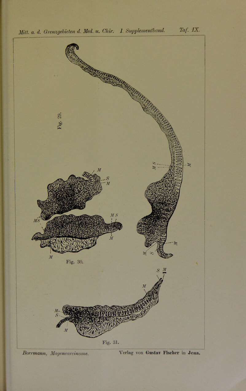 Fig. 31.
