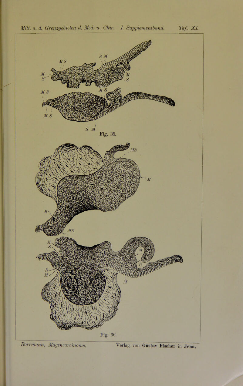 S M Fig. 35. Fig. 36.