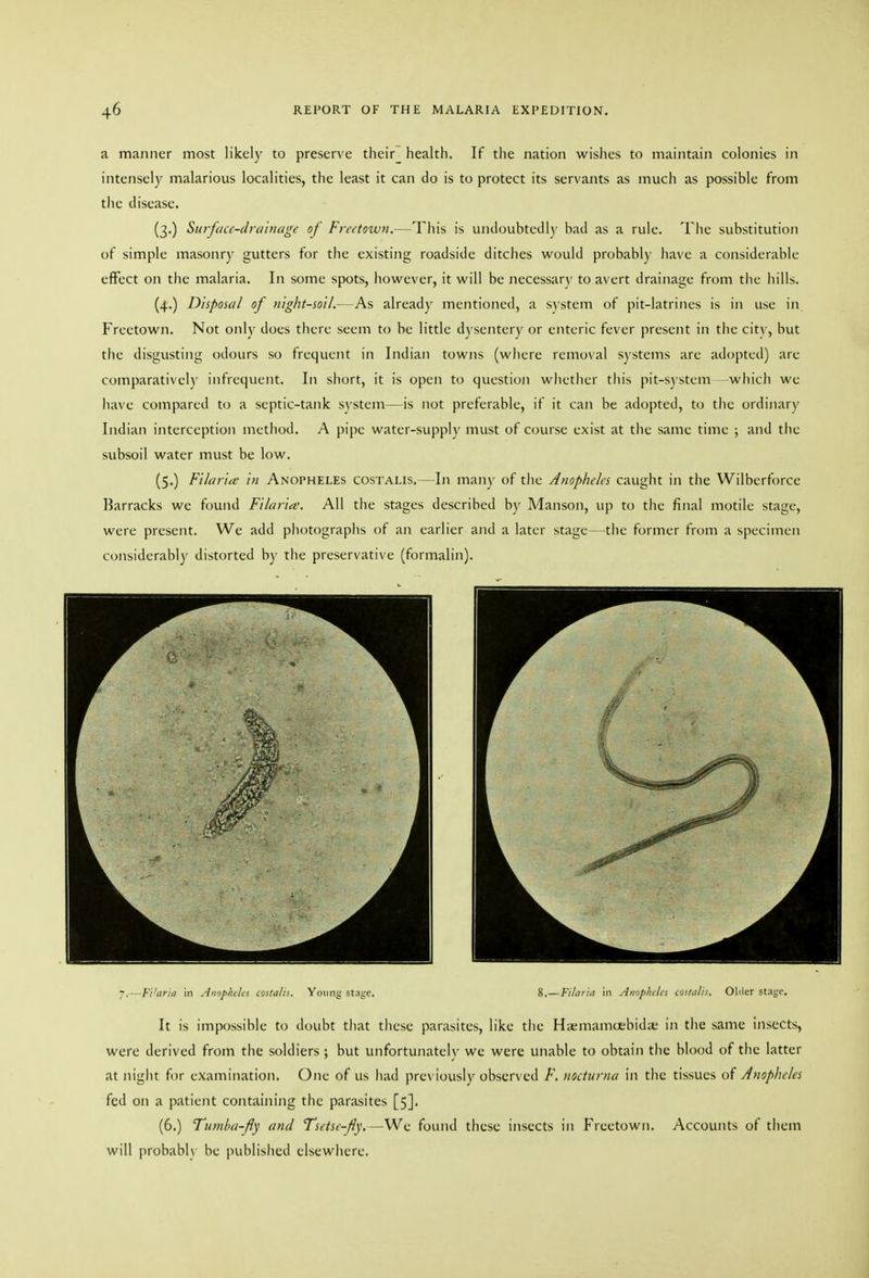 a manner most likely to preserve their_ health. If the nation wishes to maintain colonies in intensely malarious localities, the least it can do is to protect its servants as much as possible from the disease. (3,) Surface-drainage of Freetown.—This is undoubtedly bad as a rule. The substitution of simple masonry gutters for the existing roadside ditches would probably have a considerable effect on the malaria. In some spots, however, it will be necessary to avert drainage from tlie hills. (4.) Disposal of night-soil,—As already mentioned, a system of pit-latrincs is in use in Freetown. Not only does there seem to be little dysentery or enteric fever present in tlic citv, but the disgusting odours so frequent in Indian towns (where removal systems arc adopted) are comparatively infrequent. In short, it is open to question wliether this pit-system—which wc have compared to a septic-tank system—is not preferable, if it can be adopted, to the ordinary Indian interception method. A pipe water-supply must of course exist at the same time ; and tlie subsoil water must be low. (5.) Filariic in Anopheles costalis.—In many of the Anopheles caught in the Wilberforce Barracks we found Filoria. All the stages described by Manson, up to the final motile stage, were present. We add photographs of an earlier and a later stage—the former from a specimen considerably distorted by the preservative (formalin). -. Fiian., in An„phdci cKtaln. \muv. st.igc. %.—Filc,rui in Amfhchi CjuJi^. OMcr stiit'C It is impossible to doubt that these parasites, like the Hajmamoebida; in the same insects, were derived from the soldiers; but unfortunately we were unable to obtain the blood of the latter at night for examination. One of us liad previously observed F, nocturna in the tissues oi Anopheles fed on a patient containing the parasites [5]. (6.) Tumba-Jly and Tsetse-fly.—We found these insects in Freetown. Accounts of them will probabh be published elsewliere.