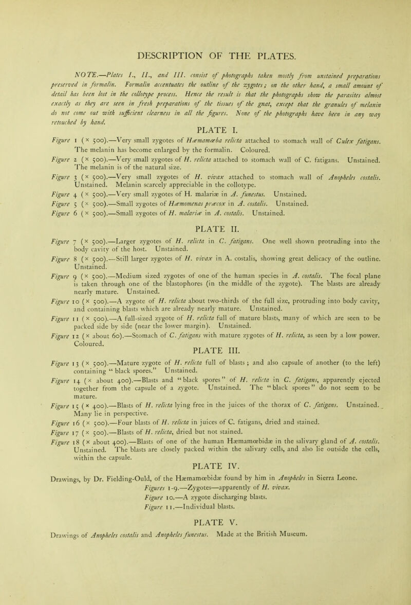 DESCRIPTION OF THE PLATES. NOTE.—P/afcs I., II., and III. consist of photographs taken mostly from unstained preparations preserved in formalin. Formalin accentuates the outline of the zygotes; on the other hand, a small amount of detail has been lost in the collotype process. Hence the result is that the photographs show the parasites almost exactly as they are seen in fresh preparations of the tissues of the gnat, except that the granules of melanin do not come out with sufficient clearness in all the figures. None of the photographs have been in any way retouched by hand. PLATE I. Figure i (x 500).—Very small zygotes of H^emamceba relicta attached to stomach wall of Culex fatigans. The melanin has become enlarged by the formalin. Coloured. Figure z (x 500).—Very small zygotes of H. relicta attached to stomach wall of C. fatigans. Unstained. The melanin is of the natural size. Figure 3 (x 500).—Very small zygotes of H. vivax attached to stomach wall of Anopheles costalis. Unstained. Melanin scarcely appreciable in the collotype. Figure 4 (x 500).—Very small zj-gotes of H. malarije in A. funestus. Unstained. Figure 5 (x 500).—'iixn^Xi T.ygo\.&i, oi Hamomenasprecox xw A. costalis. Unstained. Figure 6 { x 500).—Small zygotes of H. malaritr in A. costalis. Unstained. PLATE II. Figure 7 (x 500).—Larger zygotes of H. relicta in C. fatigans. One well shown protruding into the body cavity of the host. Unstained. Figure 8 (x 500). — Still larger zygotes of H. vivax in A. costalis, showing great delicacy of the outline. Unstained. Figure 9 (x 500).—Medium sized zygotes of one of the human species in A. costalis. The focal plane is taken through one of the blastophores (in the middle of the zygote). The tlasts are already nearly mature. Unstained. Figure lo (x 500).—A zygote of H. relicta about two-thirds of the full size, protruding into body cavity, and containing blasts which are already nearly mature. Unstained. Figure 11 ( x 500).—A full-sized zygote of H. relicta full of mature blasts, many of which are seen to be packed side by side (near the lower margin). Unstained. Figure 12 (x about 60).—Stomach of C. fatigans with mature zygotes of H. relicta, as seen by a low power. Coloured. PLATE III. Figure 13 (x 500).—Mature zygote of H. relicta full of blasts ; and also capsule of another (to the left) containing  black spores. Unstained. Figure 14 (x about 400).—Blasts and black spores of H. relicta in C. fatigans, apparently ejected together from the capsule of a zygote. Unstained. The black spores do not seem to be mature. Figure 15 (>« 400).—Blasts of H. relicta lying free in the juices of the thorax of C. fatigans. Unstained. _ Many lie in perspective. Figure 16 (x 500).—Four blasts of//, relicta in juices of C. fatigans, dried and stained. Figure 17 (x 500).—Blasts of H. relicta, dried but not stained. Figure 18 (x about 400).—Blasts of one of the human Hasmamcebidas in the salivary gland of A. costalis. Unstained. The blasts are closely packed within the salivary cells, and also lie outside the cells, within the capsule. PLATE IV. Drawings, by Dr. Fielding-Ould, of the Haemamcebidac found by him in Anopheles in Sierra Leone. Figures 1-9.—Zygotes—apparently of H. vivax. Figure 10.—A zygote discharging blasts. Figure \ I.—Individual blasts. PLATE V. Drawings of Anopheles costalis and Anopheles funestus. Made at the British Museum.