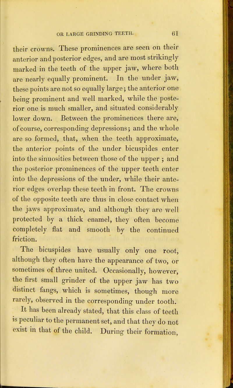 their crowns. These prominences are seen on their anterior and posterior edges, and are most strikingly marked in the teeth of the upper jaw, where both are nearly equally prominent. In the under jaw, these points are not so equally large; the anterior one being prominent and well marked, while the poste- rior one is much smaller, and situated considerably lower down. Between the prominences there are, of course, corresponding depressions; and the whole are so formed, that, when the teeth approximate, the anterior points of the under bicuspides enter into the sinuosities between those of the upper ; and the posterior prominences of the upper teeth enter into the depressions of the under, while their ante- rior edges overlap these teeth in front. The crowns of the opposite teeth are thus in close contact when the jaws approximate, and although they are well protected by a thick enamel, they often become completely flat and smooth by the continued friction. The bicuspides have usually only one root, although they often have the appearance of two, or sometimes of three united. Occasionally, however, the first small grinder of the upper jaw has two distinct fangs, which is sometimes, though more rarely, observed in the corresponding under tooth. It has been already stated, that this class of teeth is peculiar to the permanent set, and that they do not exist in that of the child. During their formation,