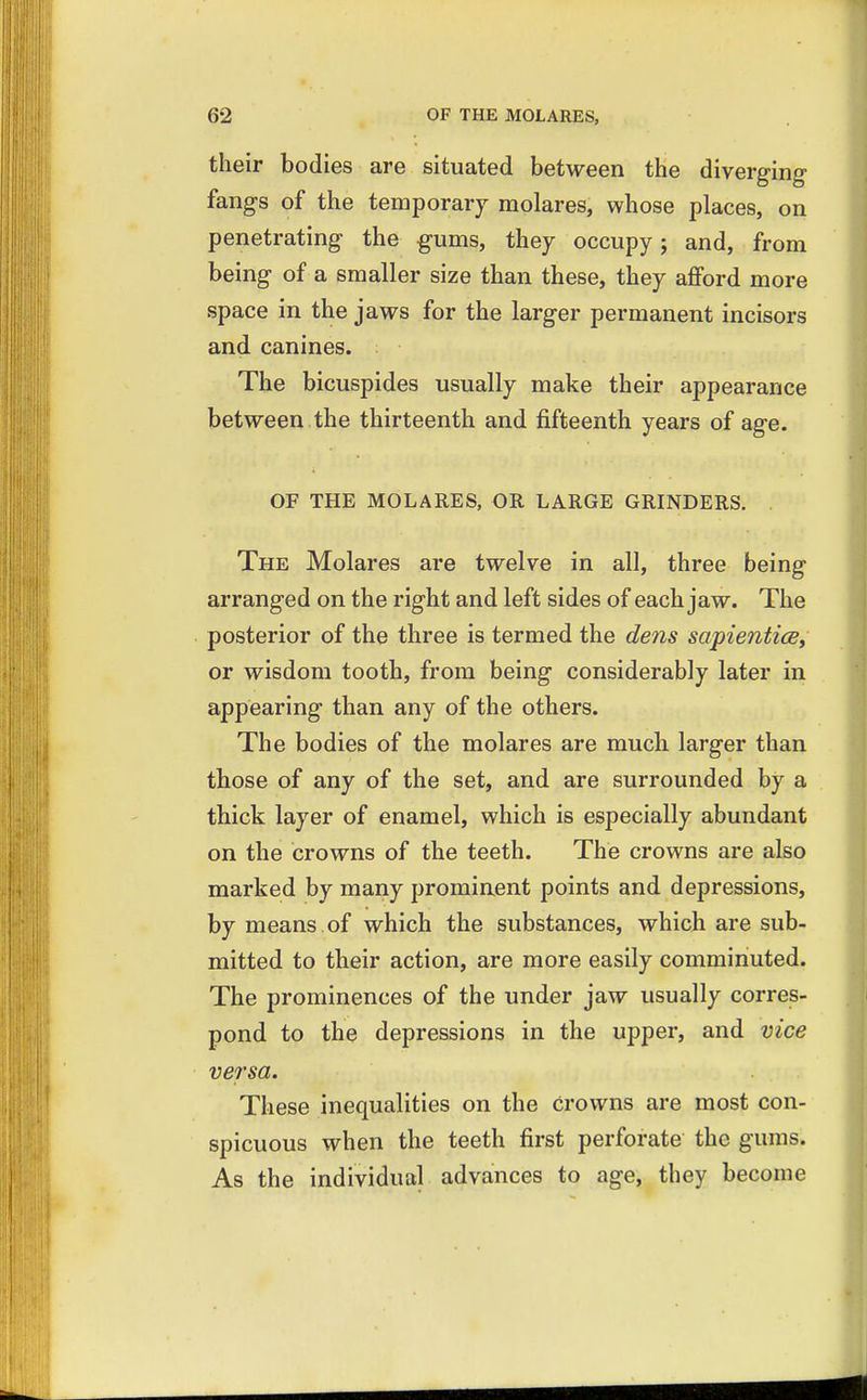 their bodies are situated between the diverging fangs of the temporary molares, whose places, on penetrating the gums, they occupy; and, from being of a smaller size than these, they afford more space in the jaws for the larger permanent incisors and canines. The bicuspides usually make their appearance between the thirteenth and fifteenth years of age. OF THE MOLARES, OR LARGE GRINDERS. The Molares are twelve in all, three being arranged on the right and left sides of each jaw. The posterior of the three is termed the dens sapientice, or wisdom tooth, from being considerably later in appearing than any of the others. The bodies of the molares are much larger than those of any of the set, and are surrounded by a thick layer of enamel, which is especially abundant on the crowns of the teeth. The crowns are also marked by many prominent points and depressions, by means of which the substances, which are sub- mitted to their action, are more easily comminuted. The prominences of the under jaw usually corres- pond to the depressions in the upper, and vice versa. These inequalities on the Crowns are most con- spicuous when the teeth first perforate the gums. As the individual advances to age, they become