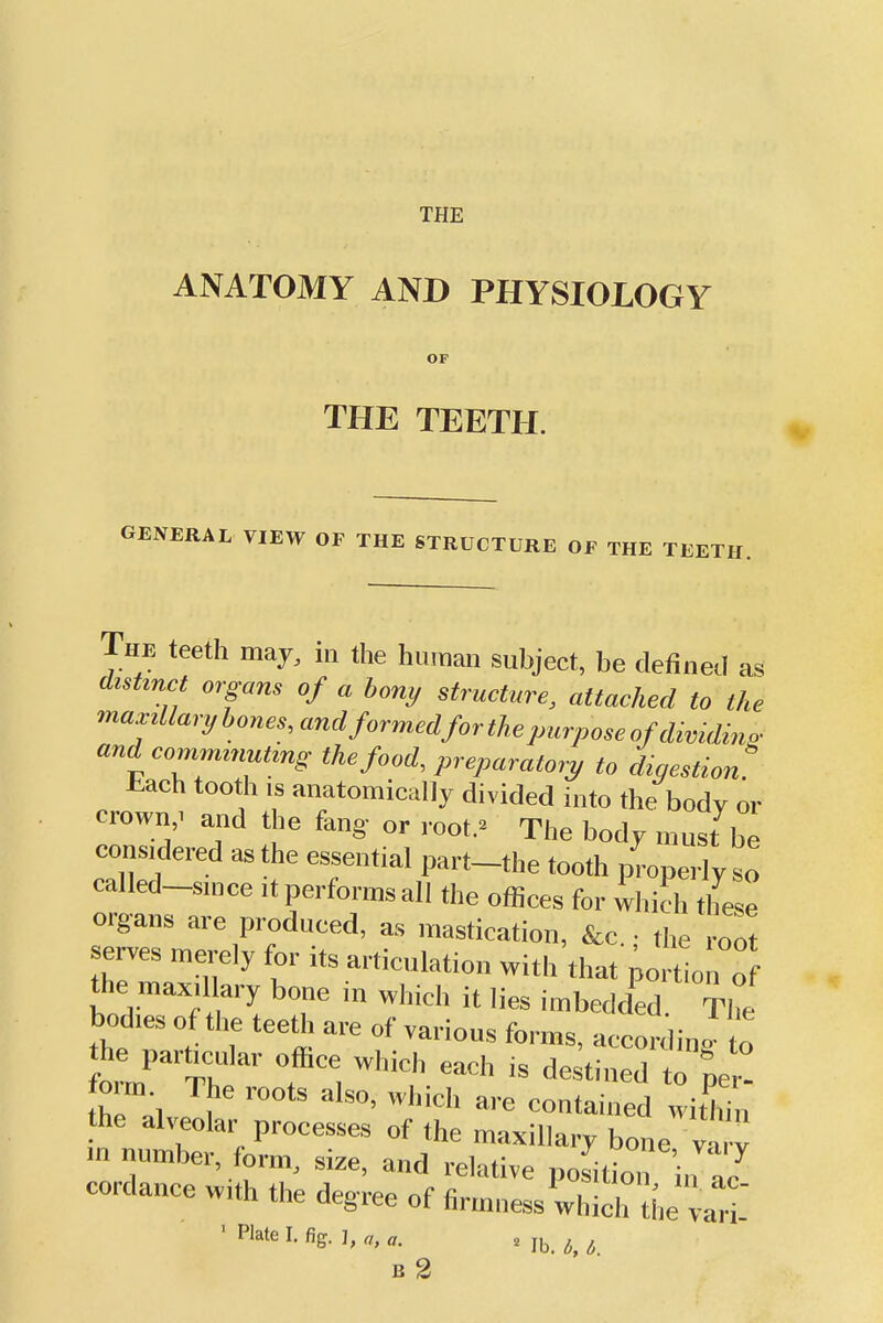 THE ANATOMY AND PHYSIOLOGY OF THE TEETH. GENERAL VIEW OF THE STRUCTURE OF THE TEETH. The teeth may, in the human subject, be defined as distinct organs of a hony structure, attached to the «'''fl<^ryl>oncs,aridforrriedfort}iepurposeofdividino- andeommumtmg the food, preparatory to digestion^ tach tooth IS anatomically divided into the body or crown . and the fang- or root.» The body must be cons,dered as the essential part-the tooth properly so called-smce it performs all the offices for 4hich these organs are produced, as n.astication, &c ■ the root serves merely for its articulation with that portioL of the max.llary bone in which it lies imbedded The bodies of the teeth are of various forms, accordino to he particular office which each is desti„:d t 'pe.! form _ The roots also, which are contained witWn the alveolar processes of the maxillary bone v v m number, form, size, and relative position in c cordance w,th the degree of firmness which the v^lll ' Plate I. %. I, ». , ,b j_ ^ E 2