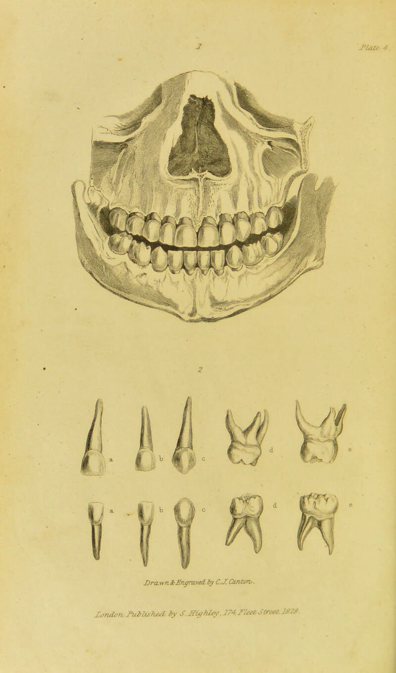 DrawatEnffravtcL by CXOmteri'. Xandon,.Pu2>Us?ud. by S.Jfi^?Uey.174,rie£tStr,:£t.JA'::^.
