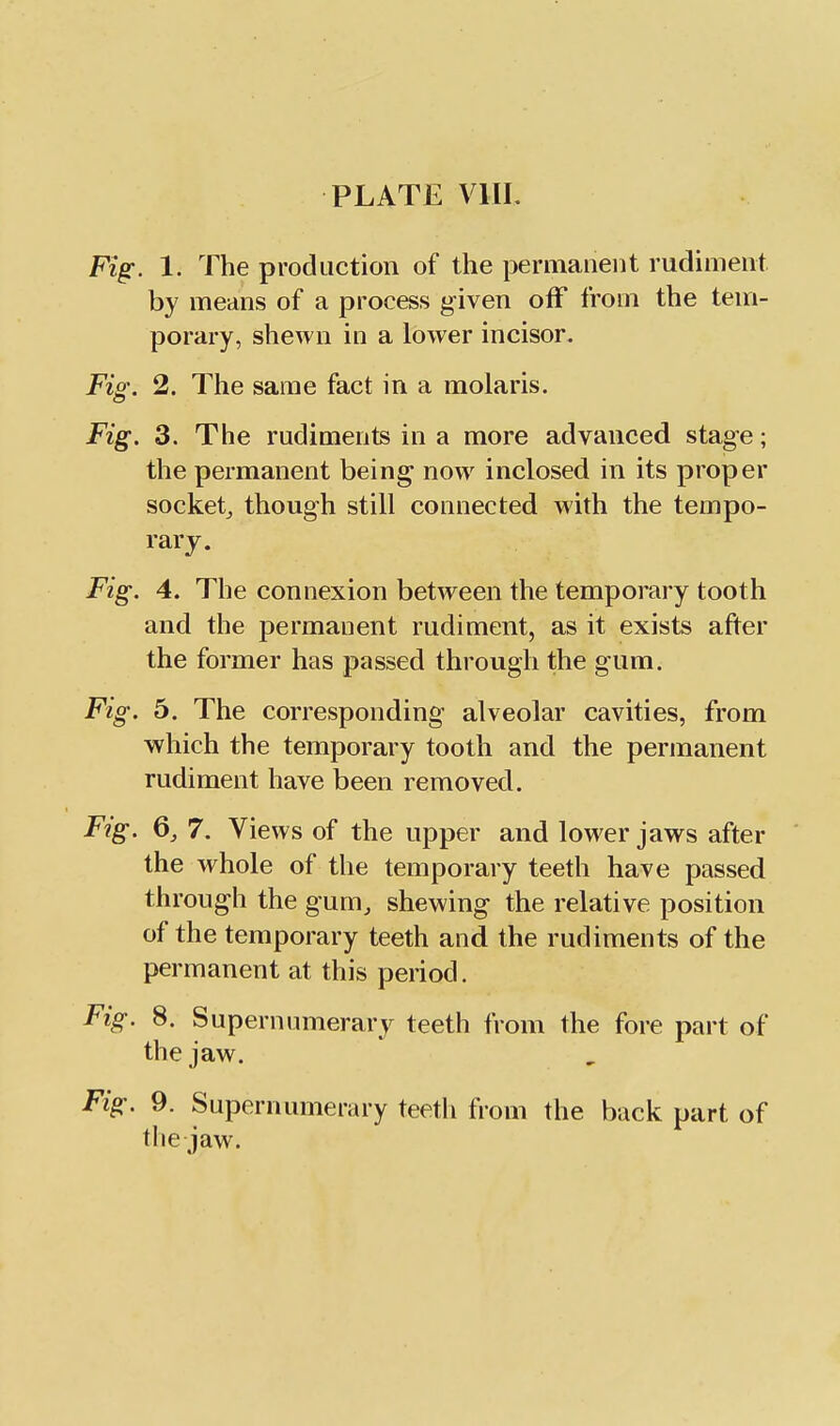 Fig. 1. The production of the permanent rudiment by means of a process given off from the tem- porary, shewn in a lower incisor. Fig. 2. The same fact in a molaris. Fig. 3. The rudiments in a more advanced stage; the permanent being now inclosed in its proper socket^ though still connected with the tempo- rary. Fig. 4. The connexion between the temporary tooth and the permanent rudiment, as it exists after the former has passed through the gum. Fig. 5. The corresponding alveolar cavities, from which the temporary tooth and the permanent rudiment have been removed. Fig. 6, 7. Views of the upper and lower jaws after the whole of the temporary teeth have passed through the gum, shewing the relative position of the temporary teeth and the rudiments of the permanent at this period. Fig. 8. Supernumerary teeth from the fore part of the jaw. Fig. 9. Supernumerary teetli from the back part of the jaw.