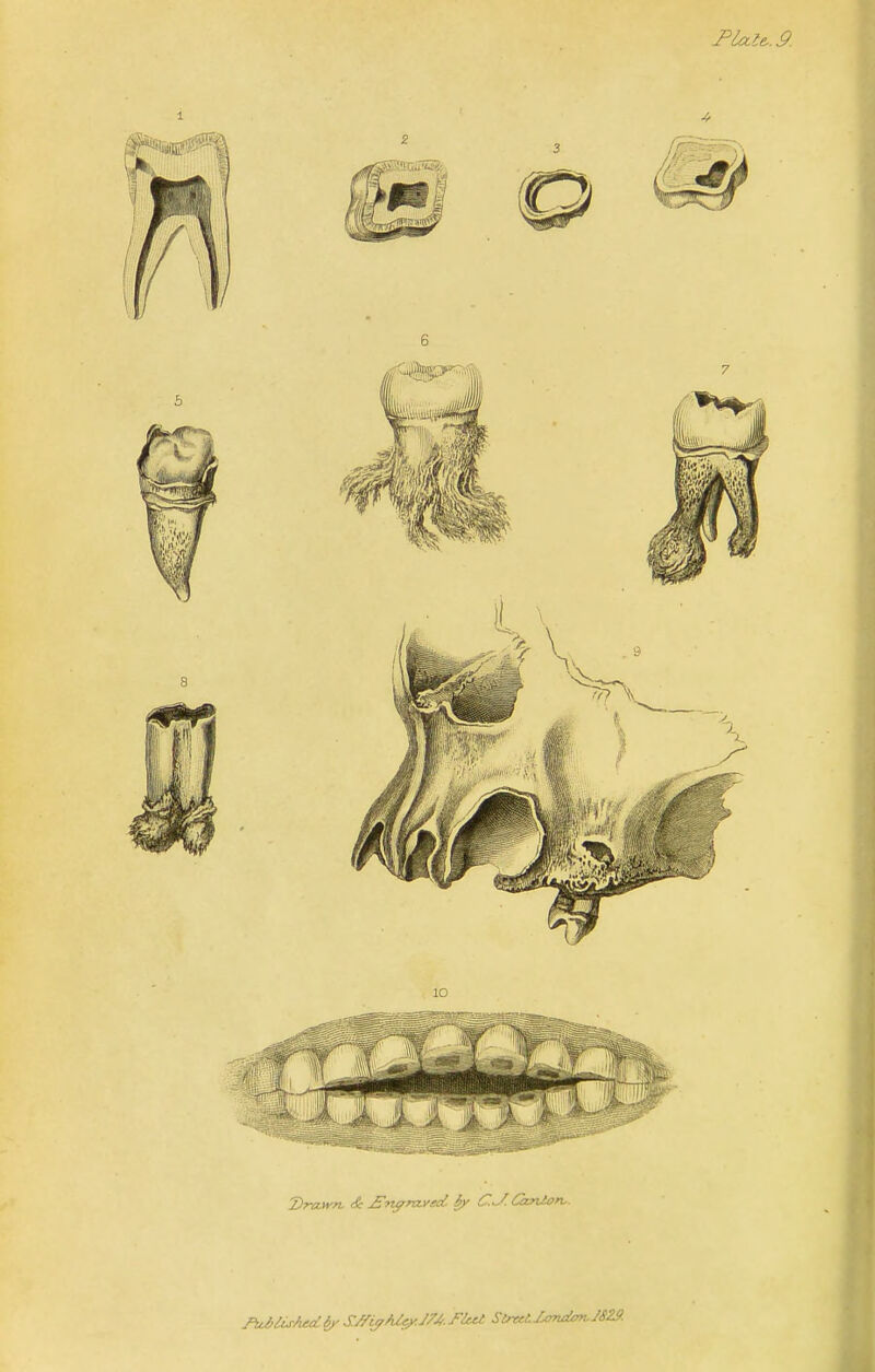 1 ' ^ Dra-wn, & ^nyraved iy C.^. Gxnton,.