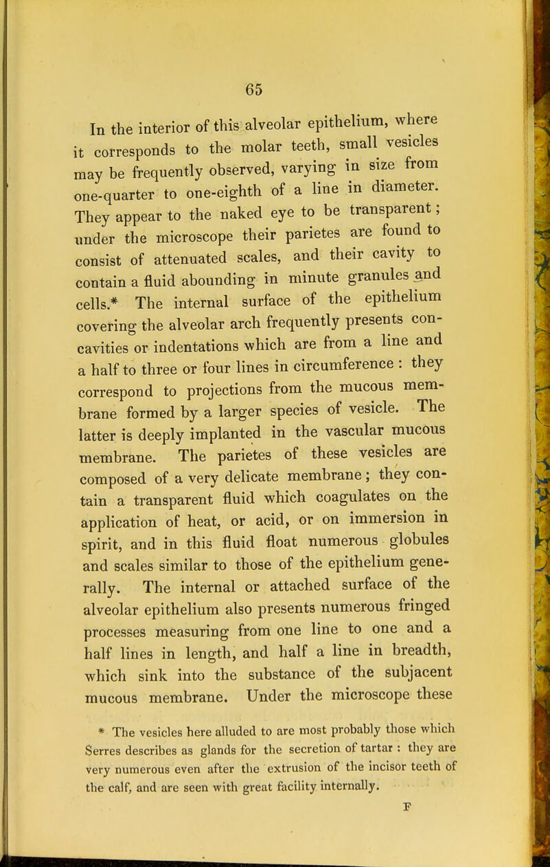 In the interior of this alveolar epithelium, where it corresponds to the molar teeth, small vesicles may be frequently observed, varying in size from one-quarter to one-eighth of a line in diameter. They appear to the naked eye to be transparent; under the microscope their parietes are found to consist of attenuated scales, and their cavity to contain a fluid abounding in minute granules and cells * The internal surface of the epithelium covering the alveolar arch frequently presents con- cavities or indentations which are from a line and a half to three or four lines in circumference : they correspond to projections from the mucous mem- brane formed by a larger species of vesicle. The latter is deeply implanted in the vascular mucous membrane. The parietes of these vesicles are composed of a very delicate membrane ; they con- tain a transparent fluid which coagulates on the application of heat, or acid, or on immersion in spirit, and in this fluid float numerous globules and scales similar to those of the epithelium gene- rally. The internal or attached surface of the alveolar epithelium also presents numerous fringed processes measuring from one line to one and a half lines in length, and half a line in breadth, which sink into the substance of the subjacent mucous membrane. Under the microscope these * The vesicles here alluded to are most probably those which Serres describes as glands for the secretion of tartar : they are very numerous even after the extrusion of the incisor teeth of the calf, and are seen with great facility internally. F
