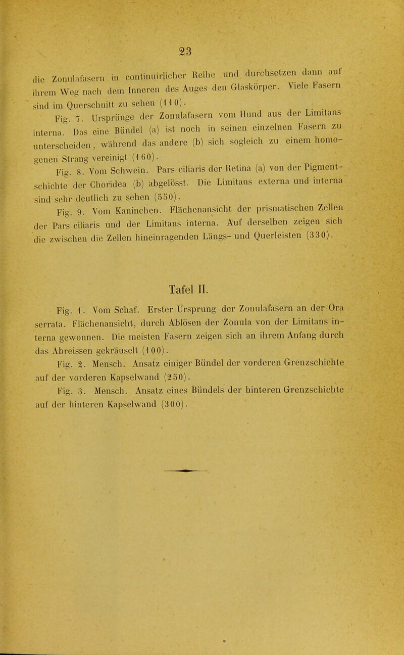 die Zü.u.larasorn in continuirliclier Reihe un.l .Uirohsetzen dann auf ihrem Weg nach dem Inneren des Auges den Glaskörper. Viele Fasern sind im Querschnitt zu sehen (110). Fig. 7. Ursprünge der Zonulafasern vom Hund aus der Limitans inlerna.'' Das eine Bündel (a) ist noch in seinen einzelnen Fasern zu unterscheiden, während das andere (b) sich sogleich zu einem homo- genen Strang vereinigt (1 60). Fig. 8. Vom Schwein. Pars ciliaris der Retina (a) von der Pigment- schichte der Choridea (b) abgelösst. Die Limitans externa und interna sind sehr deutlich zu sehen (550). Fig. 9. Vom Kaninchen. Flächenansicht der prismatischen Zellen der Pars ciliaris und der Limitans interna. Auf derselben zeigen sich die zwischen die Zellen hineinragenden Längs-und Querleisten (330). Tafel II. Fig. 1. Vom Schaf. Erster Ursprung der Zonulafasern an der Ora serrata. Flächenansicht, durch Ablösen der Zonula von der Limitans in- terna gewonnen. Die meisten Fasern zeigen sich an ihrem Anfang durch das Abreissen gekräuselt (100). Fig. 2. Men.sch. Ansatz einiger Bündel der vorderen Grenzschichle auf der vorderen Kapselwand (2 50). Fig. 3. Mensch. Ansatz eines Bündels der hinteren Grenzschichle auf der hinteren Kapselwand (300).