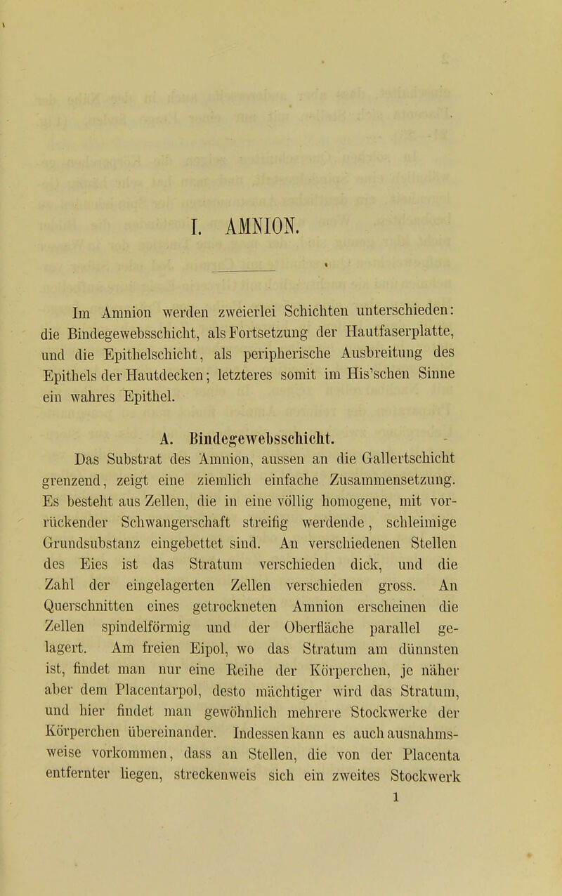 Im Amnion werden zweierlei Schichten unterschieden: die Bindegewebsschicht, als Fortsetzung der Hautfaserplatte, und die Epithelschicht, als peripherische Ausbreitung des Epithels der Hautdecken; letzteres somit im His'schen Sinne ein wahres Epithel. A. Bindegewebsschicht. Das Substrat des Amnion, aussen an die Gallertschicht grenzend, zeigt eine ziemlich einfache Zusammensetzung. Es besteht aus Zellen, die in eine völlig homogene, mit vor- rückender Schwangerschaft streifig werdende, schleimige Grundsubstanz eingebettet sind. An verschiedenen Stellen des Eies ist das Stratum verschieden dick, und die Zahl der eingelagerten Zellen verschieden gross. An Querschnitten eines getrockneten Amnion erscheinen die Zellen spindelförmig und der Oberfläche parallel ge- lagert. Am freien Eipol, wo das Stratum am dünnsten ist, findet man nur eine Reihe der Körperchen, je näher aber dem Placentarpol, desto mächtiger wird das Stratum, und hier findet man gewöhnlich mehrere Stockwerke der Körperchen übereinander. Indessen kann es auch ausnahms- weise vorkommen, dass an Stellen, die von der Placenta entfernter liegen, streckenweis sich ein zweites Stockwerk l