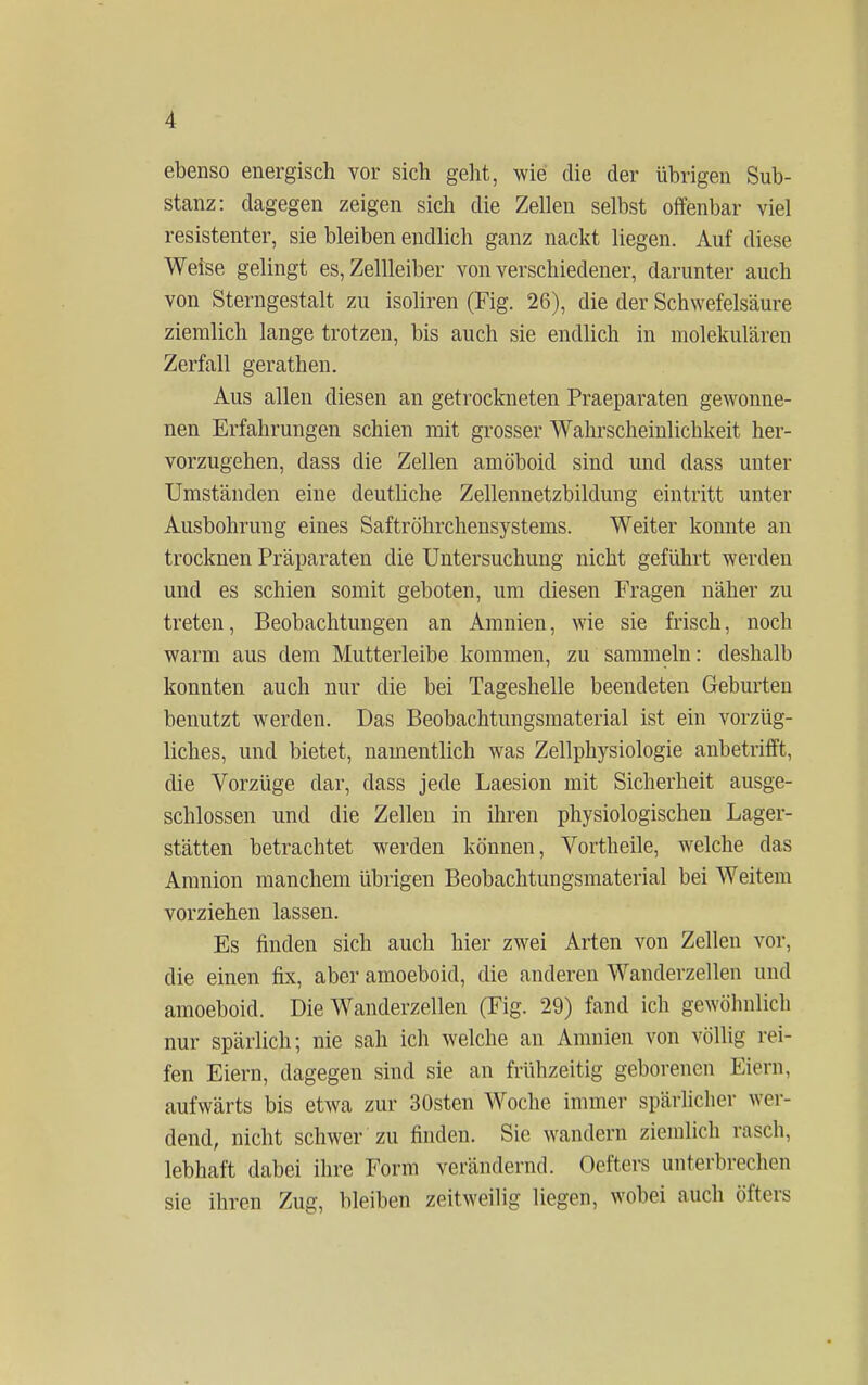 ebenso energisch vor sich geht, wie die der übrigen Sub- stanz: dagegen zeigen sich die Zellen selbst offenbar viel resistenter, sie bleiben endlich ganz nackt liegen. Auf diese Weise gelingt es, Zellleiber von verschiedener, darunter auch von Sterngestalt zu isoliren (Fig. 26), die der Schwefelsäure ziemlich lange trotzen, bis auch sie endlich in molekularen Zerfall gerathen. Aus allen diesen an getrockneten Praeparaten gewonne- nen Erfahrungen schien mit grosser Wahrscheinlichkeit her- vorzugehen, dass die Zellen amöboid sind und dass unter Umständen eine deutliche Zellennetzbildung eintritt unter Ausbohrung eines Saftröhrchensystems. Weiter konnte an trocknen Präparaten die Untersuchung nicht geführt werden und es schien somit geboten, um diesen Fragen näher zu treten, Beobachtungen an Amnien, wie sie frisch, noch warm aus dem Mutterleibe kommen, zu sammeln: deshalb konnten auch nur die bei Tageshelle beendeten Geburten benutzt werden. Das Beobachtungsmaterial ist ein vorzüg- liches, und bietet, namentlich was Zellphysiologie anbetrifft, die Vorzüge dar, dass jede Laesion mit Sicherheit ausge- schlossen und die Zellen in ihren physiologischen Lager- stätten betrachtet werden können, Vortheile, welche das Amnion manchem übrigen Beobachtungsmaterial bei Weitem vorziehen lassen. Es finden sich auch hier zwei Arten von Zellen vor, die einen fix, aber amoeboid, die anderen Wanderzellen und amoeboid. Die Wanderzellen (Fig. 29) fand ich gewöhnlich nur spärlich; nie sah ich welche an Amnien von völlig rei- fen Eiern, dagegen sind sie an frühzeitig geborenen Eiern, aufwärts bis etwa zur 30sten AVoche immer spärlicher wer- dend, nicht schwer zu finden. Sic wandern ziemlich rasch, lebhaft dabei ihre Form verändernd. Oefters unterbrechen sie ihren Zug, bleiben zeitweilig liegen, wobei auch öfteis