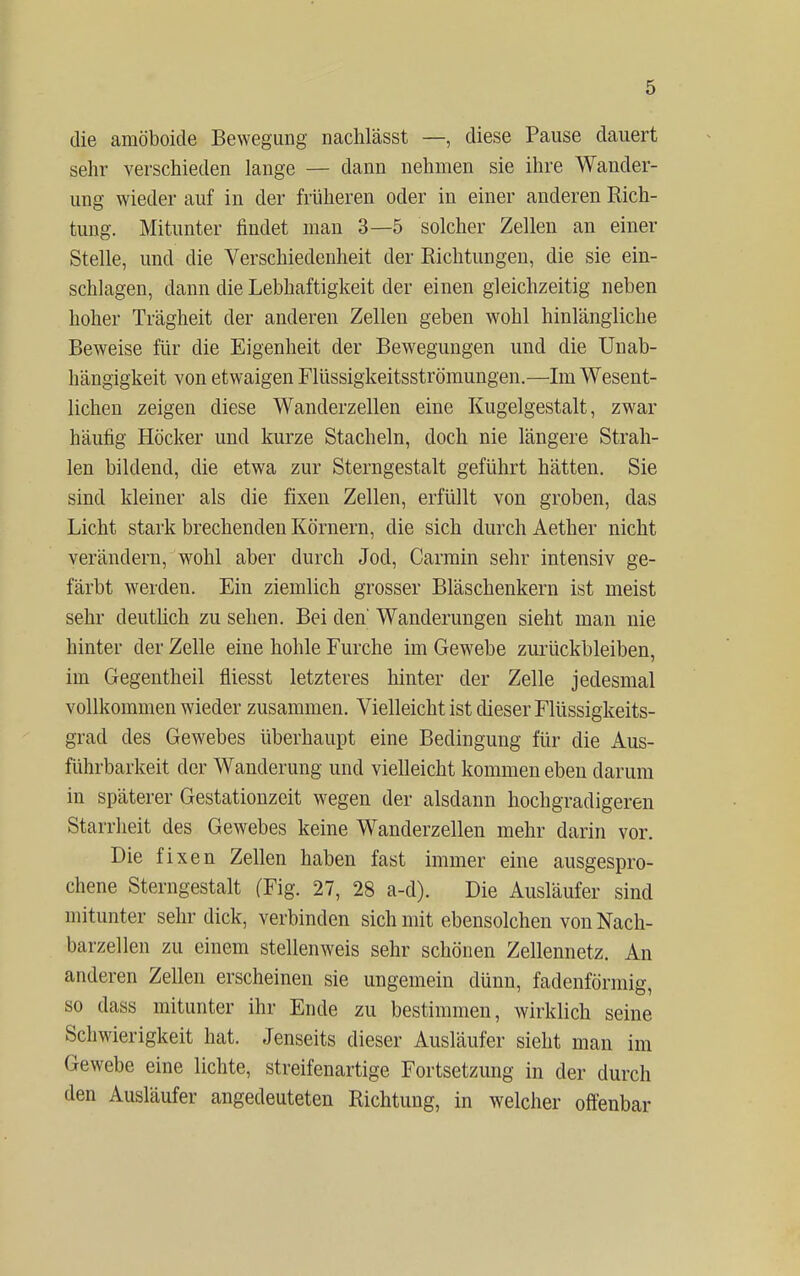 die amöboide Bewegung nachlässt —, diese Pause dauert sehr verschieden lange — dann nehmen sie ihre Wander- ung wieder auf in der früheren oder in einer anderen Rich- tung. Mitunter findet man 3—5 solcher Zellen an einer Stelle, und die Verschiedenheit der Richtungen, die sie ein- schlagen, dann die Lebhaftigkeit der einen gleichzeitig neben hoher Trägheit der anderen Zellen geben wohl hinlängliche Beweise für die Eigenheit der Bewegungen und die Unab- hängigkeit von etwaigen Flüssigkeitsströmungen.—Im Wesent- lichen zeigen diese Wanderzellen eine Kugelgestalt, zwar häufig Höcker und kurze Stacheln, doch nie längere Strah- len bildend, die etwa zur Sterngestalt geführt hätten. Sie sind kleiner als die fixen Zellen, erfüllt von groben, das Licht stark brechenden Körnern, die sich durch Aether nicht verändern, wohl aber durch Jod, Carmin sehr intensiv ge- färbt werden. Ein ziemlich grosser Bläschenkern ist meist sehr deutlich zu sehen. Bei den' Wanderungen sieht man nie hinter der Zelle eine hohle Furche im Gewebe zurückbleiben, im Gegentheil fliesst letzteres hinter der Zelle jedesmal vollkommen wieder zusammen. Vielleicht ist dieser Flüssigkeits- grad des Gewebes überhaupt eine Bedingung für die Aus- führbarkeit der Wanderung und vielleicht kommen eben darum in späterer Gestationzeit wegen der alsdann hochgradigeren Starrheit des Gewebes keine Wanderzellen mehr darin vor. Die fixen Zellen haben fast immer eine ausgespro- chene Sterngestalt (Fig. 27, 28 a-d). Die Ausläufer sind mitunter sehr dick, verbinden sich mit ebensolchen von Nach- barzellen zu einem stellenweis sehr schönen Zellennetz. An anderen Zellen erscheinen sie ungemein dünn, fadenförmig, so dass mitunter ihr Ende zu bestimmen, wirklich seine Schwierigkeit hat. Jenseits dieser Ausläufer sieht man im Gewebe eine lichte, streifenartige Fortsetzung in der durch den Ausläufer angedeuteten Richtung, in welcher offenbar