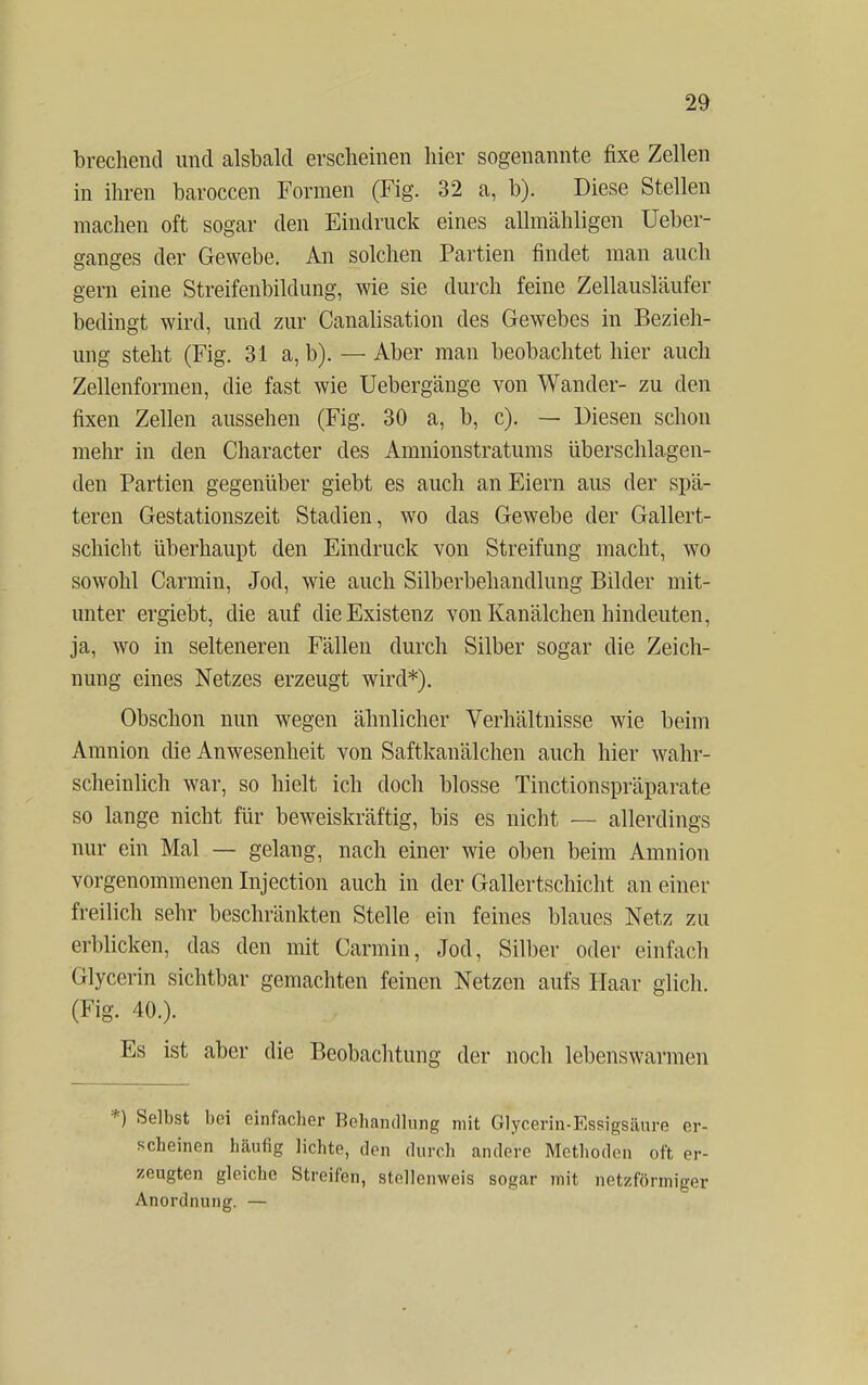 brechend und alsbald erscheinen hier sogenannte fixe Zellen in ihren baroccen Formen (Fig. 32 a, b). Diese Stellen machen oft sogar den Eindruck eines allmähligen Ueber- ganges der Gewebe. An solchen Partien findet man auch gern eine Streifenbildung, wie sie durch feine Zellausläufer bedingt wird, und zur Canalisation des Gewebes in Bezieh- ung steht (Fig. 31a, b). — Aber man beobachtet hier auch Zellenformen, die fast wie Uebergänge von Wander- zu den fixen Zellen aussehen (Fig. 30 a, b, c). — Diesen schon mehr in den Character des Amnionstratums überschlagen- den Partien gegenüber giebt es auch an Eiern aus der spä- teren Gestationszeit Stadien, wo das Gewebe der Gallert- schicht überhaupt den Eindruck von Streifung macht, wo sowohl Carmin, Jod, wie auch Silberbehandlung Bilder mit- unter ergiebt, die auf die Existenz von Kanälchen hindeuten, ja, wo in selteneren Fällen durch Silber sogar die Zeich- nung eines Netzes erzeugt wird*). Obschon nun wegen ähnlicher Verhältnisse wie beim Amnion die Anwesenheit von Saftkanälchen auch hier wahr- scheinlich war, so hielt ich doch blosse Tinctionspräparate so lange nicht für beweiskräftig, bis es nicht — allerdings nur ein Mal — gelang, nach einer wie oben beim Amnion vorgenommenen Injection auch in der Gallertschicht an einer freilich sehr beschränkten Stelle ein feines blaues Netz zu erblicken, das den mit Carmin, Jod, Silber oder einfach Glycerin sichtbar gemachten feinen Netzen aufs Haar glich. (Fig. 40.). Es ist aber die Beobachtung der noch lebenswarmen *) Selbst bei einfacher Behandlung mit Glycerin-Essigsäure er- scheinen häufig lichte, den durch andere Methoden oft er- zeugten gleiche Streifen, stellenweis sogar mit netzförmiger Anordnung. —