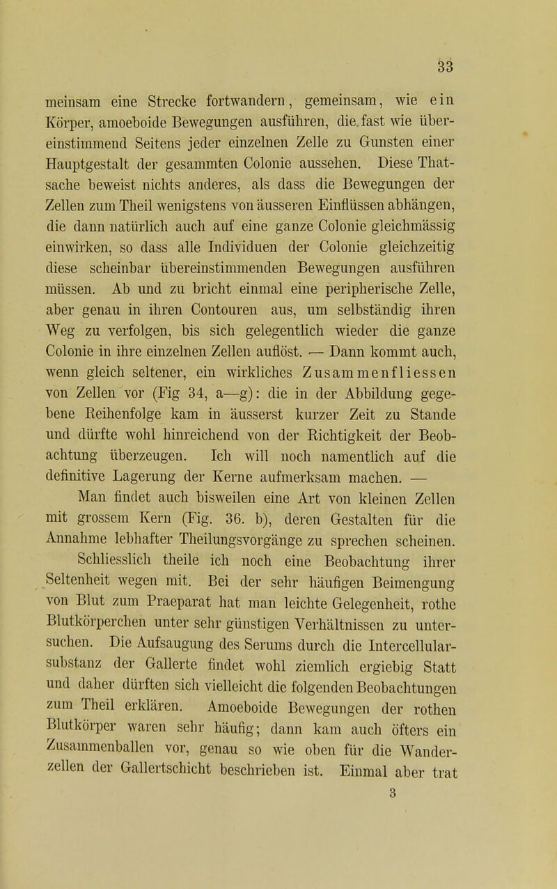 meinsam eine Strecke fortwandern, gemeinsam, wie ein Körper, amoeboide Bewegungen ausführen, die. fast wie über- einstimmend Seitens jeder einzelnen Zelle zu Gunsten einer Hauptgestalt der gesammten Colonie aussehen. Diese That- sache beweist nichts anderes, als dass die Bewegungen der Zellen zum Theil wenigstens von äusseren Einflüssen abhängen, die dann natürlich auch auf eine ganze Colonie gleichmässig einwirken, so dass alle Individuen der Colonie gleichzeitig diese scheinbar übereinstimmenden Bewegungen ausführen müssen. Ab und zu bricht einmal eine peripherische Zelle, aber genau in ihren Contouren aus, um selbständig ihren Weg zu verfolgen, bis sich gelegentlich wieder die ganze Colonie in ihre einzelnen Zellen auflöst. — Dann kommt auch, wenn gleich seltener, ein wirkliches Zusammenfliessen von Zellen vor (Fig 34, a—g): die in der Abbildung gege- bene Reihenfolge kam in äusserst kurzer Zeit zu Stande und dürfte wohl hinreichend von der Richtigkeit der Beob- achtung überzeugen. Ich will noch namentlich auf die definitive Lagerung der Kerne aufmerksam machen. — Man findet auch bisweilen eine Art von kleinen Zellen mit grossem Kern (Fig. 36. b), deren Gestalten für die Annahme lebhafter Theilungsvorgänge zu sprechen scheinen. Schliesslich theile ich noch eine Beobachtung ihrer Seltenheit wegen mit. Bei der sehr häufigen Beimengung von Blut zum Praeparat hat man leichte Gelegenheit, rothe Blutkörperchen unter sehr günstigen Verhältnissen zu unter- suchen. Die Aufsaugung des Serums durch die Intercellular- substanz der Gallerte findet wohl ziemlich ergiebig Statt und daher dürften sich vielleicht die folgenden Beobachtungen zum Theil erklären. Amoeboide Bewegungen der rothen Blutkörper waren sehr häufig; dann kam auch öfters ein Zusammenballen vor, genau so wie oben für die Wander- zellen der Gallertschicht beschrieben ist. Einmal aber trat 3