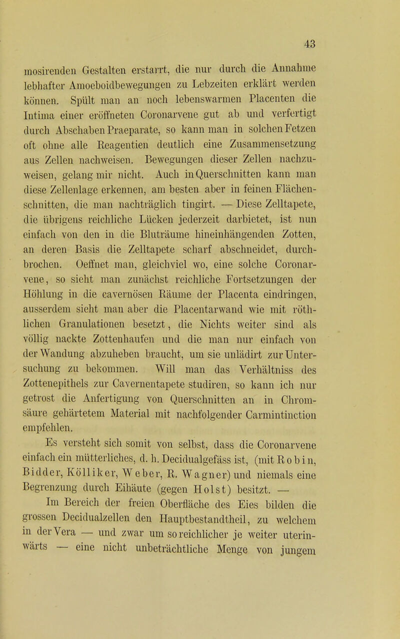 mosirenden Gestalten erstarrt, die nur durch die Annahme lebhafter Ainoeboidbewegungen zu Lebzeiten erklärt werden können. Spült man an noch lebenswarmen Placenten die Intima einer eröffneten Coronarvene gut ab und verfertigt durch Abschaben Praeparate, so kann man in solchen Fetzen oft ohne alle Reagentien deutlich eine Zusammensetzung aus Zellen nachweisen. Bewegungen dieser Zellen nachzu- weisen, gelang mir nicht. Auch in Querschnitten kann man diese Zellenlage erkennen, am besten aber in feinen Flächen- schnitten, die man nachträglich tingirt. — Diese Zelltapete, die übrigens reichliche Lücken jederzeit darbietet, ist nun einfach von den in die Bluträume hineinhängenden Zotten, an deren Basis die Zelltapete scharf abschneidet, durch- brochen. Oeffnet man, gleichviel wo, eine solche Coronar- vene, so sieht man zunächst reichliche Fortsetzungen der Höhlung in die cavernösen Räume der Placenta eindringen, ausserdem sieht man aber die Placentarwand wie mit roth- lichen Granulationen besetzt, die Nichts weiter sind als völlig nackte Zottenhaufen und die man nur einfach von der Wandung abzuheben braucht, um sie unlädirt zur Unter- suchung zu bekommen. Will man das Verhältniss des Zottenepithels zur Cavernentapete studiren, so kann ich nur getrost die Anfertigung von Querschnitten an in Chrom- säure gehärtetem Material mit nachfolgender Carmintinction empfehlen. Es versteht sich somit von selbst, dass die Coronarvene einfach ein mütterliches, d. h. Decidualgefäss ist, (mit R o b i n, Bidder, Kölliker, Weber, R. Wagner) und niemals eine Begrenzung durch Eihäute (gegen Holst) besitzt. — Im Bereich der freien Oberfläche des Eies bilden die grossen Decidualzellen den Hauptbestandthcil, zu welchem in der Vera — und zwar um so reichlicher je weiter uterin- wärts — eine nicht unbeträchtliche Menge von jungem