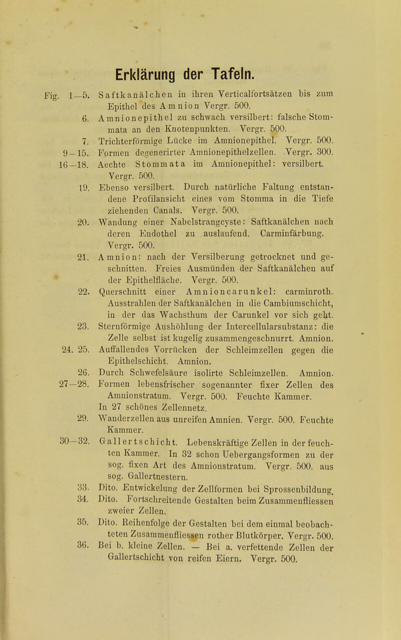 Erklärung der Tafeln. Fig. 1—5. Saftkanälchen in ihren Verticalfortsätzen bis zum Epithel des Amnion Vergr. 500. 6. Amnionepithel zu schwach versilbert: falsche Stom- mata an den Knotenpunkten. Vergr. 500. 7. Trichterförmige Lücke im Amnionepithel. Vergr. 500. 9-15. Formen degenerirter Amnionepithelzellen. Vergr. 300. 16—18. Aechte Stommata im Amnionepithel: versilbert. Vergr. 500. 11). Ebenso versilbert. Durch natürliche Faltung entstan- dene Profilansicht eines vom Stomma in die Tiefe ziehenden Canals. Vergr. 500. 20. Wandung einer Nabelstrangcyste: Saftkanälchen nach deren Endothel zu auslaufend. Carrainfärbung. Vergr. 500. 21. Amnion: nach der Versilberung getrocknet und ge- schnitten. Freies Ausmünden der Saftkanälchen auf der Epithelfläche. Vergr. 500. 22. Querschnitt einer Amnioncarunkel: carminroth. Ausstrahlen der Saftkanälchen in die Cambiumschicht, in der das Wachsthum der Carunkel vor sich geht. 23. Sternförmige Aushöhlung der Intercellularsubstanz: die Zelle selbst ist kugelig zusammengeschnurrt. Amnion. 24. 25. Auffallendes Vorrücken der Schleimzellen gegen die Epithelschicht. Amnion. 26. Durch Schwefelsäure isolirte Schleimzellen. Amnion. 27—28. Formen lebensfrischer sogenannter fixer Zellen des Amnionstratum. Vergr. 500. Feuchte Kammer. In 27 schönes Zellennetz. 29. Wanderzellen aus unreifen Amnien. Vergr. 500. Feuchte Kammer. 30—32. Gallertschicht. Lebenskräftige Zellen in der feuch- ten Kammer. In 32 schon Uebergangsformen zu der sog. fixen Art des Amnionstratum. Vergr. 500. aus sog. Gallertnestern. 33. Dito. Entwickelung der Zellformen bei Sprossenbildung. 34. Dito. Fortschreitende Gestalten beim Zusammenfiiessen zweier Zellen. 35. Dito. Reihenfolge der Gestalten bei dem einmal beobach- teten Zusammenfiiessen rother Blutkörper. Vergr. 500. 36. Bei b. kleine Zellen. — Bei a. verfettende Zellen der Gallertschicht von reifen Eiern. Vergr. 500.