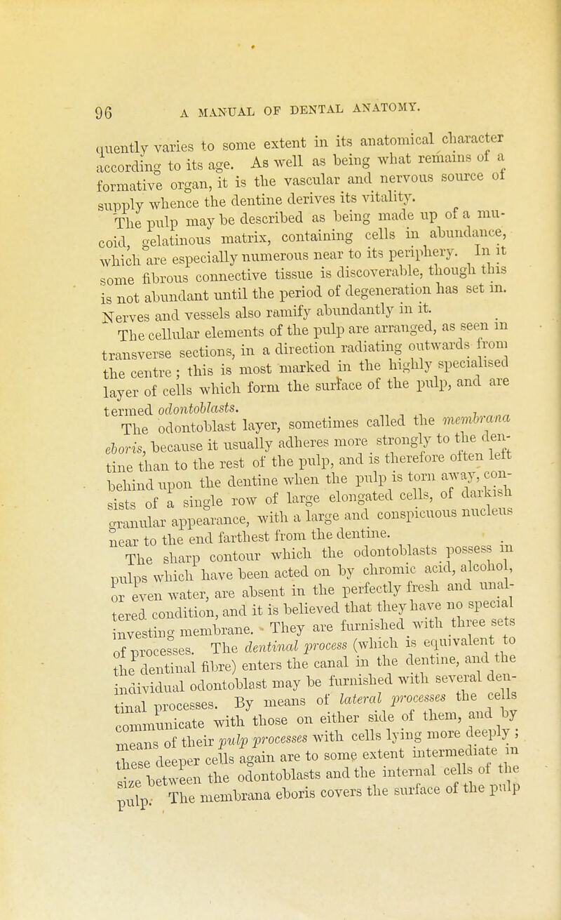 quently varies to some extent in its anatomical character according to its age. As well as being what remams of a formative organ, it is tlie vascular and nervous source ol supply whence the dentine derives its vitality. The pulp maybe described as being made up of a mu- coid oelatinous matrix, containing cells in abundance, which are especiaUy numerous near to its periphery. In it some fibrous connective tissue is discoverable, though tliis is not abundant until the period of degeneration has set m. Nerves and vessels also ramify abundantly m it. The cellular elements of the pulp are arranged, as seen m transverse sections, in a direction radiating outwards from the centre; this is most marked in the highly speciahsed layer of cells which form the surlace of the pulp, and are termed odontoblasts. The odontoblast layer, sometimes called the memhana eloris, because it usually adheres more strongly to the den- tine than to the rest of the pulp, and is therefore often lett behind upon the dentine when the pulp is torn J^y^^^- sists of a single row of large elongated cells, of daiki^ tranular appearance, with a large and conspicuous nucleus near to the end farthest from the dentine. The sharp contour which the odontoblasts possess m px^lns which have been acted on by chromic acid, alcoho , or even water, are absent in the perfectly fresh and unal- tered condition, and it is believed that they have no special nvesting membrane. They are furnished with three sets of processes. The dentinal process (which is equivalent to tt'cS fibre) enters the canal in the dentine, and the individual odontoblast may be furnished with several den- kal processes. By means of lateral processes the ceUs rm nunicate with those on either side of them, and by n^ans of their pulp processes with cells lying more deeply ; These deeper cells again are to some extent -termedia e in P Ltween the odontoblasts and the internal cells of the ;lp Tre mlbrana eboris covers the surface of the pulp
