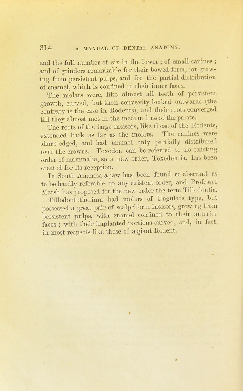 and the full numlDer of six in the lower ; of small canines ; and of grinders remarkable for their bowed form, for grow- ing from persistent pulps, and for the partial distribution of enamel, wliich is confined to their inner faces. The molars were, like almost all teeth of persistent growth, curved, but their convexity looked outwards (the contrary is the case in Eodents), and their roots converged till they almost met in the median line of the palate. The roots of the large incisors, like those of the Eodents, extended back as far as the molars. The canines Avere sharp-edged, and had enamel only partially distributed over the crowns. Toxodon can be referred to no existing order of mammalia, so a new order, Toxodontia, has been created for its reception. In South America a jaw has been found so aberrant as to be hardly referable to any existent order, and Professor Marsh has proposed for the new order the term Tillodontia. Tillodontotherium had molars of Ungulate type, but possessed a great pair of scalpriform incisors, growing from persistent pulps, with enamel confined to their anterior faces ; with their implanted portions curved, and, in fact, in most respects like those of a giant Eodent. r