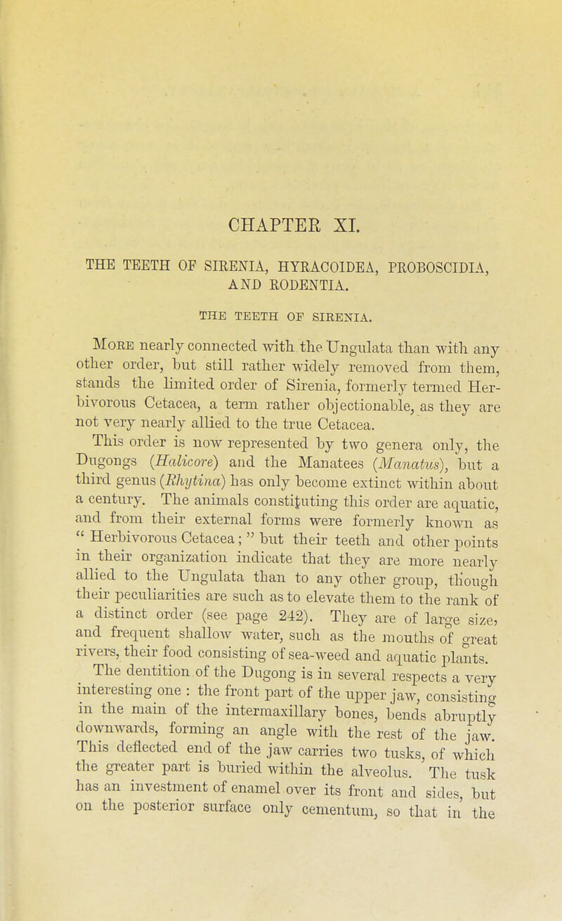 CHAPTER XI. THE TEETH OF SIRENIA, HYRACOIDEA, PROBOSCIDIA, AND RODENTIA. THE TEETH OP SIRENIA. More nearly connected with the Ungiilata than with any other order, but still rather widely removed from them, stands the limited order of Sirenia, formerly termed Her- bivorous Cetacea, a term rather objectionable, as they are not very nearly allied to the true Cetacea. This order is now represented by two genera only, the Dugongs (Halicore) and the Manatees (Manatus), but a third genus {Rhijtina) has only become extinct within about a century. The animals constituting this order are aquatic, and from their external forms were formerly known as  Herbivorous Cetacea;  but their teeth and other points in their organization indicate that they are more nearly allied to the Ungulata than to any other group, though their peculiarities are such as to elevate them to the rank^of a distinct order (see page 242). They are of large size, and frequent shallow water, such as the mouths of great rivers, their food consisting of sea-weed and aquatic i^lants. The dentition of the Dugong is in several respects a very interesting one : the front part of the upper jaw, consisting m the mam of the intermaxillary bones, bends abruptly downwards, forming an angle with the rest of the jaw. This deflected end of the jaw carries two tusks, of which the greater part is buried within the alveolus. The tusk has an investment of enamel over its front and sides, but on the posterior surface only cementum, so that in the