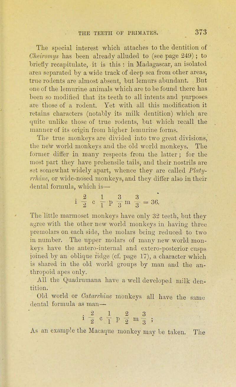 The special interest which attaches to the dentition of Gheiromys has been already alluded to (see page 249) ; to briefly recapitulate, it is this : in Madagascar, an isolated area separated by a wide track of deep sea from other areas, true rodents are almost absent, but lemurs abundant. But one of the lemurine animals which are to be found there has been so modified that its teeth to all intents and purposes are those of a rodent. Yet with all this modification it retains characters (notably its milk dentition) which are (piite unlike those of true rodents, but which recall the manuer of its origin from higher lemurine forms. The true monkeys are divided into two great divisions, the new world monkeys and the old world monkeys. The former differ in many respects from the latter; for the most part they have prehensile tails, and their nostrils are set somewhat widely apart, whence they are called Platy- rrhine, or wide-nosed monkeys, and they differ also in their dental formula, which is— .2133* 1 c 3- p 3-m 3-= 36. The little marmoset monkeys have only 32 teeth, but they agree with the other new world monkeys in having three premolars on each side, the molars being reduced to two in number. The upper molars of many new world mon- keys have the antero-internal and extero-posterior cusps joined by an oblique ridge (cf. page 17), a character which is shared in the old world groups by man and the an- thropoid apes only. All the Quadrumana have a well developed milk den- tition. Old world or Gatarrhine monkeys all have the same dental formula as man— .2123 1 2 c T P 2 ^ 3 ' As an example the Macaque monkey may be taken. The