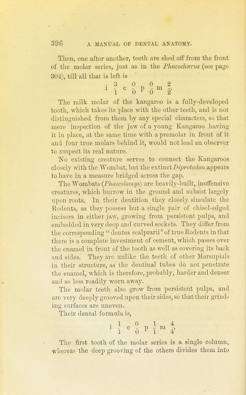 Then, one after another, teeth are shed oflf from the front of the mokr series, just as in the Fhacochcerus (see page 304), till all that is left is .3 0 0 2 1 - c - p - m -. 1 0^0 2 The milk molar of the kangaroo is a fully-developed tooth, which takes its place with the other teeth, and is not distinguished from them by any sj)ecial characters, so that mere inspection of the jaw of a young Kangaroo having it in place, at the same time with a premolar in front of it and four true molars behind it, would not lead an observer to suspect its real nature. No existing creature serves to connect the Kangaroos closely with the Wombat, but the extinct JDiproiodo^i appears to have in a measure bridged across the gap. The AVombats (Phascolomys) are heavily-built, inoffensive creatures, which burrow in the ground and subsist largely upon roots. In their dentition they closely simulate the Rodents, as they possess but a single pair of chisel-edged incisors in either jaw, growing from persistent pulps, and embedded in very deep and curved sockets. They differ from the corresponding  dentes scalprarii of true Rodents in that there is a complete investment of cement, which passes over the enamel in front of the tooth as well as covering its back and sides. They arc unlike the teeth of other Marsupials in their structure, as the dentinal tubes do not penetrate the enamel, which is therefore, probably, harder and denser and so less readily worn away. The molar teeth also grow from persistent pulps, and are very deeply grooved upon their sides, so that their grind- ing surfaces are uneven. Their dental formula is, .10 14 1 . c - p - m -. 1 0^1 4 The first tooth of the molar series is a single column, whereas the deep grooving of the others divides them into