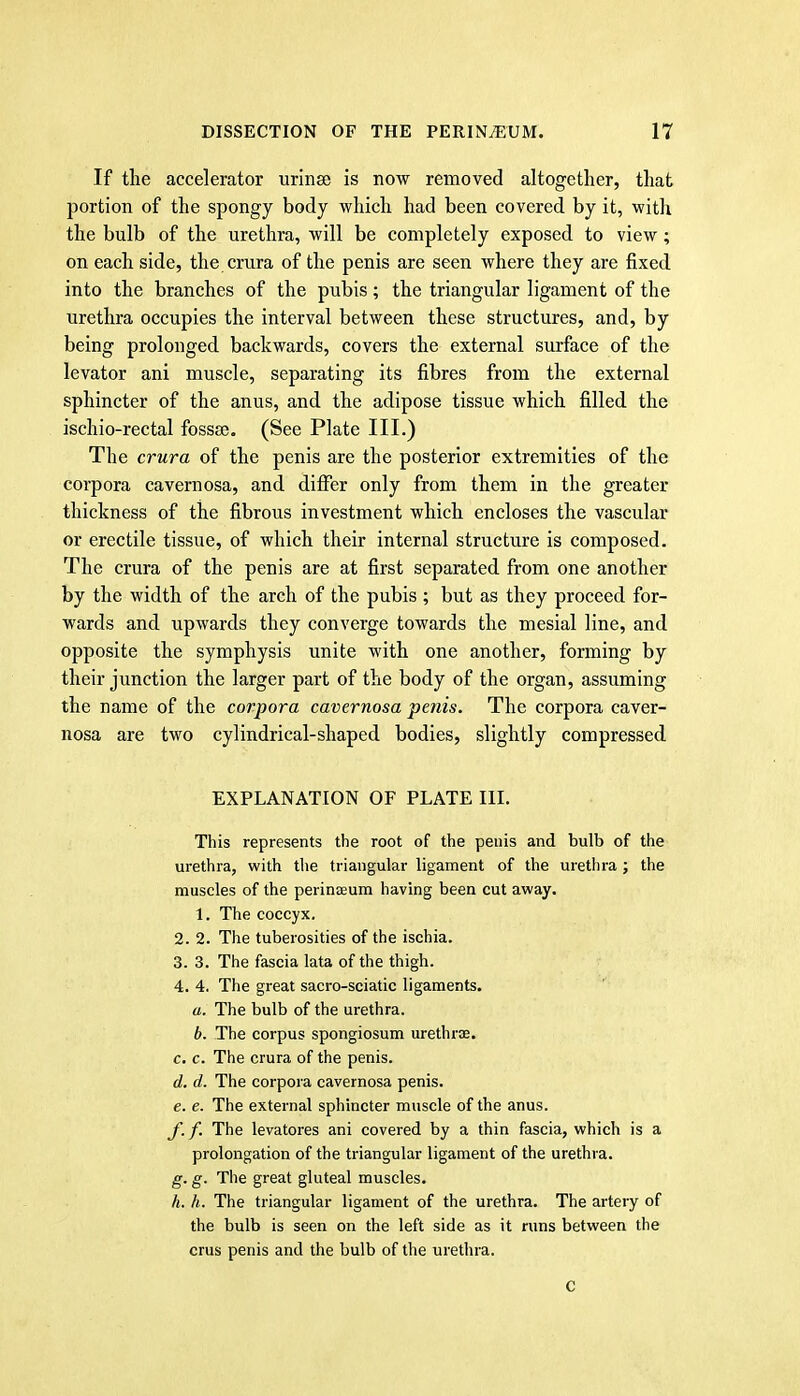 If the accelerator urlnse is now removed altogether, that portion of the spongy body which had been covered by it, with the bulb of the urethra, will be completely exposed to view; on each side, the crura of the penis are seen where they are fixed into the branches of the pubis ; the triangular ligament of the urethra occupies the interval between these structures, and, by being prolonged backwards, covers the external surface of the levator ani muscle, separating its fibres from the external sphincter of the anus, and the adipose tissue which filled the ischio-rectal fossae. (See Plate III.) The crura of the penis are the posterior extremities of the corpora cavernosa, and differ only from them in the greater thickness of the fibrous investment which encloses the vascular or erectile tissue, of which their internal structure is composed. The crura of the penis are at first separated from one another by the width of the arch of the pubis ; but as they proceed for- wards and upwards they converge towards the mesial line, and opposite the symphysis unite with one another, forming by their junction the larger part of the body of the organ, assuming the name of the corpora cavernosa penis. The corpora caver- nosa are two cylindrical-shaped bodies, slightly compressed EXPLANATION OF PLATE III. This represents the root of the penis and bulb of the urethra, with tlie triangular ligament of the urethra ; the muscles of the perinEeum having been cut away. 1. The coccyx. 2. 2. The tuberosities of the ischia. 3. 3. The fascia lata of the thigh. 4. 4. The great sacro-sciatic ligaments. a. The bulb of the urethra. b. The corpus spongiosum urethrse. c. c. The crura of the penis. d. d. The corpora cavernosa penis. e. e. The external sphincter muscle of the anus. f. f. The levatores ani covered by a thin fascia, which is a prolongation of the triangular ligament of the urethia. g. g. The great gluteal muscles. h. h. The triangular ligament of the urethra. The artery of the bulb is seen on the left side as it runs between the crus penis and the bulb of the urethra. C