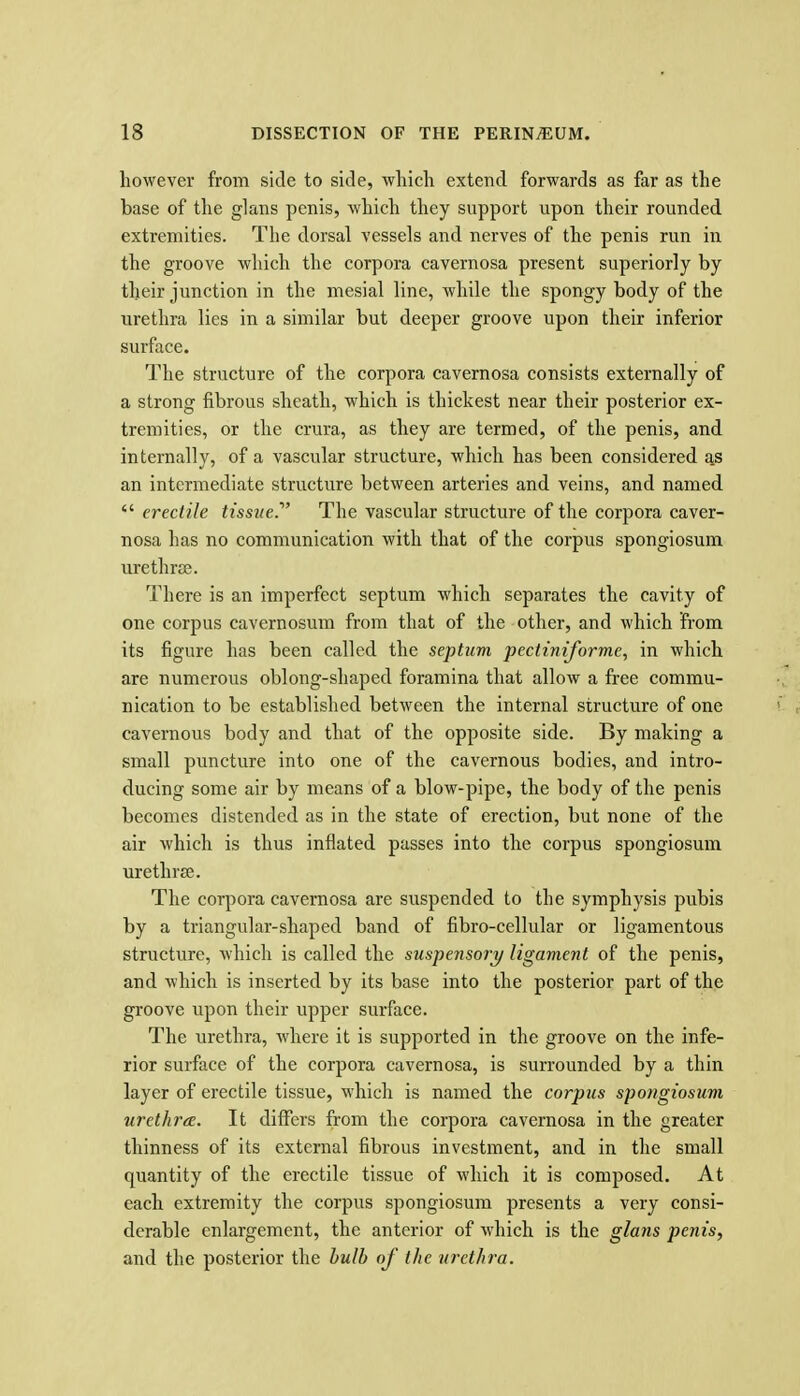 however from side to side, which extend forwards as far as the base of the glans penis, which they support upon their rounded extremities. The dorsal vessels and nerves of the penis run in the groove which the corpora cavernosa present superiorly by their junction in the mesial line, while the spongy body of the urethra lies in a similar but deeper groove upon their inferior surface. The structure of the corpora cavernosa consists externally of a strong fibrous sheath, which is thickest near their posterior ex- tremities, or the crura, as they are termed, of the penis, and internally, of a vascular structure, which has been considered as an intermediate structure between arteries and veins, and named  erectile tissue.' The vascular structure of the corpora caver- nosa has no communication with that of the corpus spongiosum urethra;. There is an imperfect septum which separates the cavity of one corpus cavernosum from that of the other, and which from its figure has been called the septum pectiniforme, in which are numerous oblong-shaped foramina that allow a free commu- nication to be established between the internal structure of one cavernous body and that of the opposite side. By making a small puncture into one of the cavernous bodies, and intro- ducing some air by means of a blow-pipe, the body of the penis becomes distended as in the state of erection, but none of the air which is thus inflated passes into the corpus spongiosum urethrjB. The corpora cavernosa are suspended to the symphysis pubis by a triangular-shaped band of fibro-cellular or ligamentous structure, which is called the suspensory ligament of the penis, and which is inserted by its base into the posterior part of the groove upon their upper surface. The urethra, where it is supported in the groove on the infe- rior surface of the corpora cavernosa, is surrounded by a thin layer of erectile tissue, which is named the corpus spongiosum urethra. It differs from the corpora cavernosa in the greater thinness of its external fibrous investment, and in the small quantity of the erectile tissue of which it is composed. At each extremity the corpus spongiosum presents a very consi- derable enlargement, the anterior of which is the glans penis, and the posterior the hull) of the urethra.