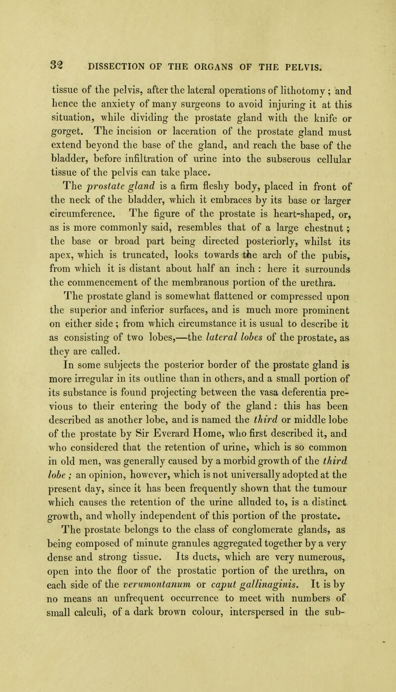 tissue of the pelvis, after the lateral operations of lithotomy; and hence the anxiety of many surgeons to avoid injuring it at this situation, while dividing the prostate gland with the knife or gorget. The incision or laceration of the prostate gland must extend beyond the base of the gland, and reach the base of the bladder, before infiltration of urine into the subserous cellular tissue of the pelvis can take place. The prostate gland is a firm fleshy body, placed in front of the neck of the bladder, which it embraces by its base or larger circumference. The figure of the prostate is heart-shaped, or, as is more commonly said, resembles that of a large chestnut; the base or broad part being directed posteriorly, whilst its apex, which is truncated, looks towards the arcli of the pubis, from which it is distant about half an inch : here it surrounds the commencement of the membranous portion of the urethra. The prostate gland is somewhat flattened or compressed upon the superior and inferior surfaces, and is much more prominent on either side ; from which circumstance it is usual to describe it as consisting of two lobes,—the lateral lobes of the prostate, as they are called. In some subjects the posterior border of the prostate gland is more irregular in its outline than in others, and a small portion of its substance is found projecting between the vasa deferentia pre- vious to their entering the body of the gland: this has been described as another lobe, and is named the third or middle lobe of the prostate by Sir Everard Home, who first described it, and who considered that the retention of urine, which is so common in old men, was generally caused by a morbid growth of the third lobe ; an opinion, however, which is not universally adopted at the present day, since it has been frequently shown that the tumour which causes the retention of the urine alluded to, is a distinct growth, and wholly independent of this portion of the prostate. The prostate belongs to the class of conglomerate glands, as being composed of minute granules aggregated together by a very dense and strong tissue. Its ducts, which are very numerous, open into the floor of the prostatic portion of the urethra, on each side of the verumontanum or caput gallinaginis. It is by no means an unfrequent occurrence to meet with numbers of small calculi, of a dark brown colour, interspersed in the sub-