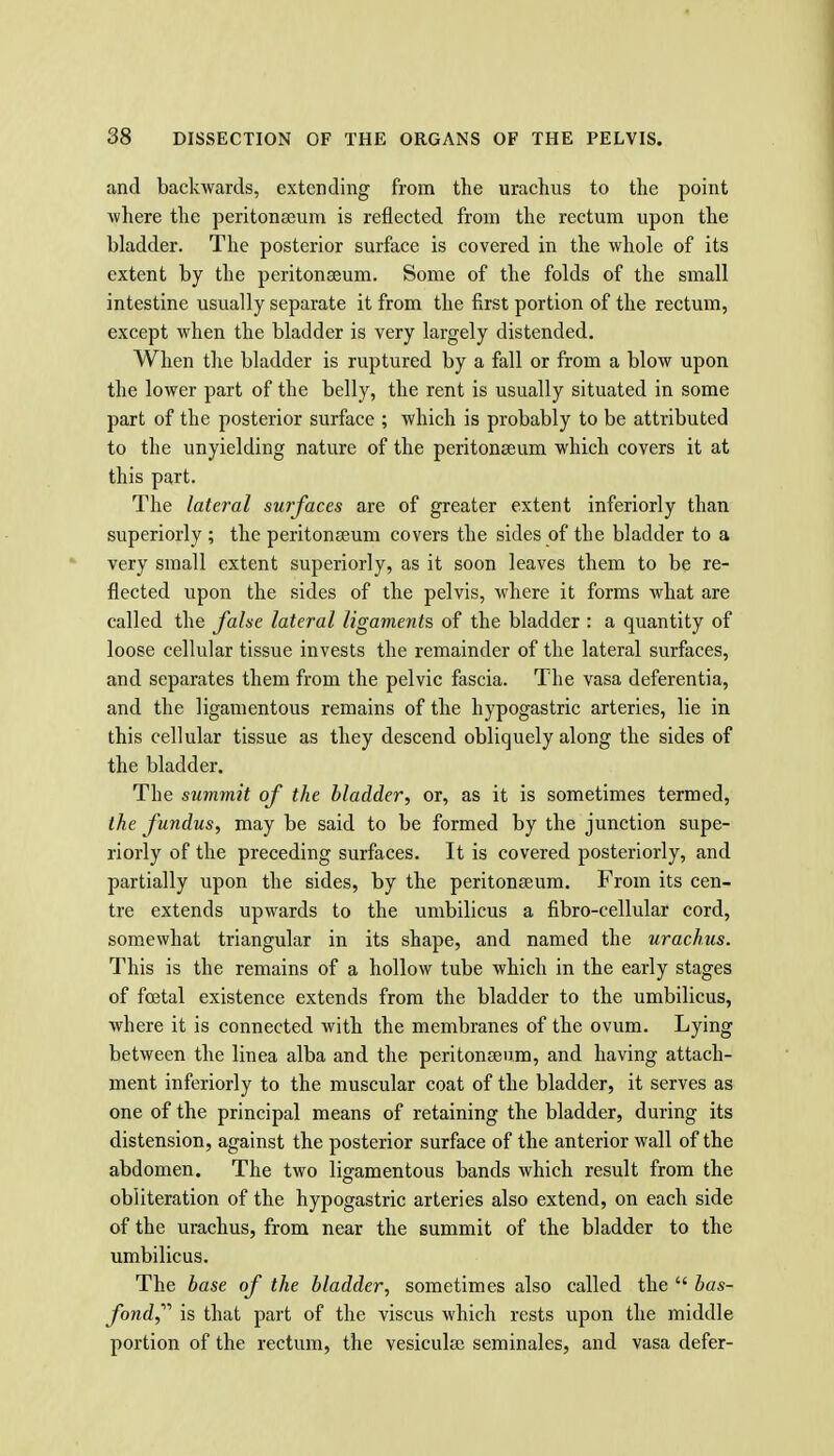 and backwards, extending from the urachus to the point where the peritonajum is reflected from the rectum upon the bladder. The posterior surface is covered in the whole of its extent by the peritonaeum. Some of the folds of the small intestine usually separate it from the first portion of the rectum, except when the bladder is very largely distended. When the bladder is ruptured by a fall or from a blow upon the lower part of the belly, the rent is usually situated in some part of the posterior surface ; which is probably to be attributed to the unyielding nature of the peritonaeum which covers it at this part. The lateral surfaces are of greater extent inferiorly than superiorly ; the peritonseum covers the sides of the bladder to a very small extent superiorly, as it soon leaves them to be re- flected upon the sides of the pelvis, where it forms what are called the false lateral ligaments of the bladder : a quantity of loose cellular tissue invests the remainder of the lateral surfaces, and separates them from the pelvic fascia. The vasa deferentia, and the ligamentous remains of the hypogastric arteries, lie in this cellular tissue as they descend obliquely along the sides of the bladder. The summit of the bladder, or, as it is sometimes termed, the fundus, may be said to be formed by the junction supe- riorly of the preceding surfaces. It is covered posteriorly, and partially upon the sides, by the peritonseura. From its cen- tre extends upwards to the umbilicus a fibro-cellular cord, somewhat triangular in its shape, and named the urachus. This is the remains of a hollow tube which in the early stages of fcetal existence extends from the bladder to the umbilicus, where it is connected with the membranes of the ovum. Lying between the linea alba and the peritonseum, and having attach- ment inferiorly to the muscular coat of the bladder, it serves as one of the principal means of retaining the bladder, during its distension, against the posterior surface of the anterior wall of the abdomen. The two ligamentous bands which result from the obliteration of the hypogastric arteries also extend, on each side of the urachus, from near the summit of the bladder to the umbilicus. The base of the bladder, sometimes also called the  bas- fond,^'' is that part of the viscus which rests upon the middle portion of the rectum, the vesicula; seminales, and vasa defer-