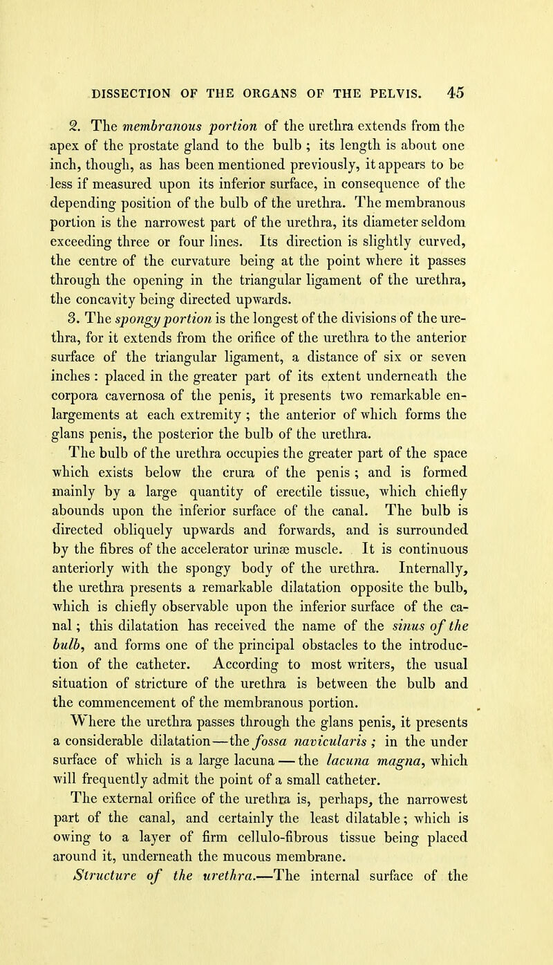 2. The membranous portion of tlie urethra extends from the apex of the prostate gland to the bulb ; its length is about one inch, though, as has been mentioned previously, it appears to be less if measured upon its inferior surface, in consequence of the depending position of the bulb of the urethra. The membranous portion is the narrowest part of the urethra, its diameter seldom exceeding three or four lines. Its direction is slightly curved, the centre of the curvature being at the point where it passes through the opening in the triangular ligament of the ui'ethra, the concavity being directed upwards. 3. The spongy portion is the longest of the divisions of the ure- thra, for it extends from the orifice of the urethra to the anterior surface of the triangular ligament, a distance of six or seven inches : placed in the greater part of its extent underneath the corpora cavernosa of the penis, it presents two remarkable en- largements at each extremity ; the anterior of which forms the glans penis, the posterior the bulb of the urethra. The bulb of the urethra occupies the greater part of the space which exists below the crura of the penis; and is formed mainly by a large quantity of erectile tissue, which chiefly abounds upon the inferior surface of the canal. The bulb is directed obliquely upwards and forwards, and is surrounded by the fibres of the accelerator urinse muscle. It is continuous anteriorly with the spongy body of the urethra. Internally, the urethra presents a remarkable dilatation opposite the bulb, Avhich is chiefly observable upon the inferior surface of the ca- nal ; this dilatation has received the name of the sinus of the bulb, and forms one of the principal obstacles to the introduc- tion of the catheter. According to most writers, the usual situation of stricture of the urethra is between the bulb and the commencement of the membranous portion. Where the urethra passes through the glans penis, it presents a considerable dilatation—fossa navicularis ; in the under surface of which is a large lacuna — the lacuna magna, which will frequently admit the point of a small catheter. The external orifice of the urethra is, perhaps, the narrowest part of the canal, and certainly the least dilatable; which is owing to a layer of firm cellulo-fibrous tissue being placed around it, underneath the mucous membrane. Structure of the urethra.—The internal surface of the