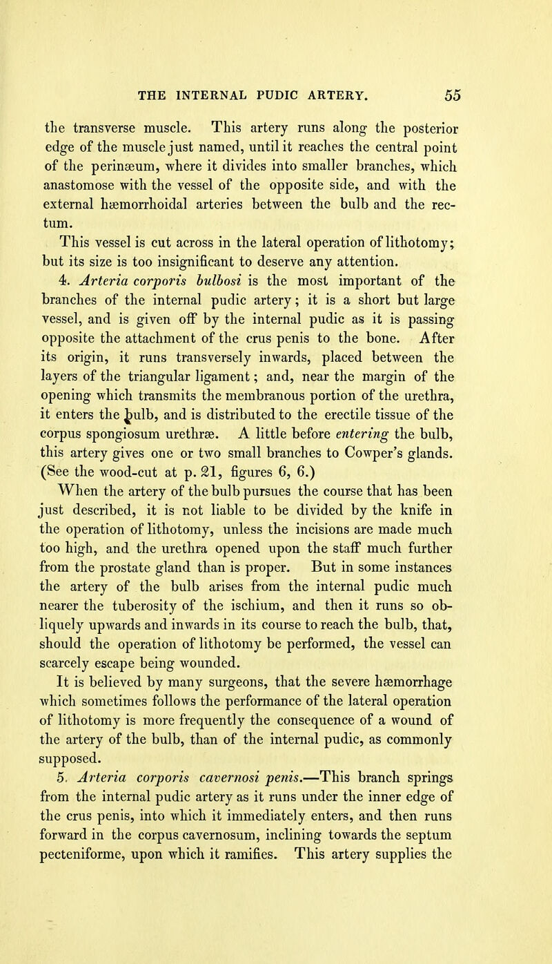 the transverse muscle. This artery runs along the posterior edge of the muscle just named, until it reaches the central point of the perinaeum, where it divides into smaller branches, which anastomose with the vessel of the opposite side, and with the external h<emorrhoidal arteries between the bulb and the rec- tum. This vessel is cut across in the lateral operation of lithotomy; but its size is too insignificant to deserve any attention. 4. Arteria corporis bulbosi is the most important of the branches of the internal pudic artery; it is a short but large vessel, and is given olF by the internal pudic as it is passing opposite the attachment of the crus penis to the bone. After its origin, it runs transversely inwards, placed between the layers of the triangular ligament; and, near the margin of the opening which transmits the membranous portion of the urethra, it enters the ^ulb, and is distributed to the erectile tissue of the corpus spongiosum urethrse. A little before entering the bulb, this artery gives one or two small branches to Cowper's glands. (See the wood-cut at p. 21, figures 6, 6.) When the artery of the bulb pursues the course that has been just described, it is not liable to be divided by the knife in the operation of lithotomy, unless the incisions are made much too high, and the urethra opened upon the staff much further from the prostate gland than is proper. But in some instances the artery of the bulb arises from the internal pudic much nearer the tuberosity of the ischium, and then it runs so ob- liquely upwards and inwards in its course to reach the bulb, that, should the operation of lithotomy be performed, the vessel can scarcely escape being wounded. It is believed by many surgeons, that the severe haemorrhage which sometimes follows the performance of the lateral operation of lithotomy is more frequently the consequence of a wound of the artery of the bulb, than of the internal pudic, as commonly supposed. 5, Arteria corporis cavernosi penis.—This branch springs from the internal pudic artery as it runs under the inner edge of the crus penis, into which it immediately enters, and then runs forward in the corpus cavernosum, inclining towards the septum pecteniforme, upon which it ramifies. This artery supplies the