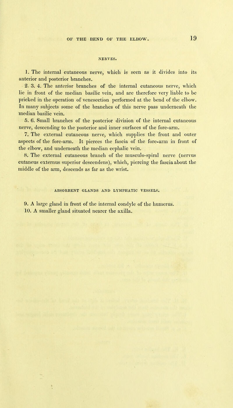 NERVES. 1. The internal cutaneous nerve, which is seen as it divides into its anterior and posterior branches. 2. 3. 4. The anterior branches of the internal cutaneous nerve, v^'hich lie in front of the median basilic vein, and are therefore very liable to be pricked in the operation of venesection performed at the bend of the elbow. In many subjects some of the branches of this nerve pass underneath the median basilic vein. 5. 6. Small branches of the posterior division of the internal cutaneous nerve, descending to tlie posterior and inner surfaces of the fore-arm. 7. The external cutaneous nerve, which supplies the front and outer aspects of the fore-arm. It pierces the fascia of the fore-arm in front of the elbow, and underneath the median cephalic vein. 8. The external cutaneous branch of the musculo-spiral nerve (nervus cutaneus externus superior descendens), which, piercing the fascia about the middle of the arm, descends as far as the wrist. ABSORBENT GLANDS AND LYMPHATIC VESSELS. 9. A large gland in front of the internal condyle of the humerus. 10. A smaller gland situated nearer the axilla.