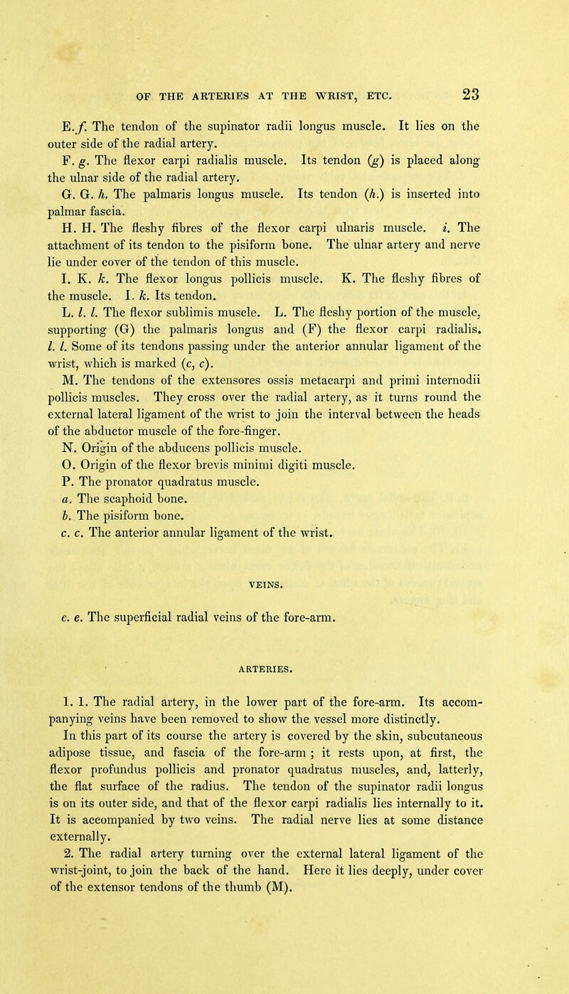 OP THE ARTERIES AT THE WRIST, ETC. E. f. The tendon of the supinator radii longus muscle. It lies on the outer side of the radial artery. F. g. The flexor carpi radialis muscle. Its tendon (g) is placed along the ulnar side of the radial artery. G. G. h. The palmaris longus muscle. Its tendon (h) is inserted into palmar fascia. H. H. The fleshy fibres of the flexor cai-pi ulnaris muscle, i. The attachment of its tendon to the pisiform bone. The ulnar artery and nerve lie under cover of the tendon of this muscle. I. K. k. The flexor longus pollicis muscle. K. The fleshy fibres of the muscle. I. k. Its tendon. L. /. The flexor sublimis muscle. L. The fleshy portion of the muscle, supporting (G) the palmaris longus and (F) the flexor carpi radialis. /. /. Some of its tendons passing under the anterior annular ligament of the vi^rist, which is marked (c, c). M. The tendons of the extensores ossis metacarpi and primi internodii pollicis muscles. They cross over the radial artery, as it turns round the external lateral ligament of the wi'ist to join the interval between the heads of the abductor muscle of the fore-finger. N. Origin of the abducens pollicis muscle. O. Origin of the flexor brevis minimi digiti muscle. P. The pronator quadratus muscle. a. The scaphoid bone. h. The pisiform bone. c. c. The anterior annular ligament of the wrist. VEINS. e. e. The superficial radial veins of the fore-arm. ARTERIES. 1. 1. The radial artery, in the lower part of the fore-arm. Its accom- panying veins have been removed to show the vessel more distinctly. In this part of its course the artery is covered by the skin, subcutaneous adipose tissue, and fascia of the fore-arm ; it rests upon, at first, the flexor profundus pollicis and pronator quadratus muscles, and, latterly, the flat surface of the radius. The tendon of the supinator radii longus is on its outer side, and that of the flexor carpi radialis lies internally to it. It is accompanied by two veins. The radial nerve lies at some distance externally. 2. The radial artery turning over the external lateral ligament of the wrist-joint, to join the back of the hand. Here it lies deeply, under cover of the extensor tendons of the thumb (M).