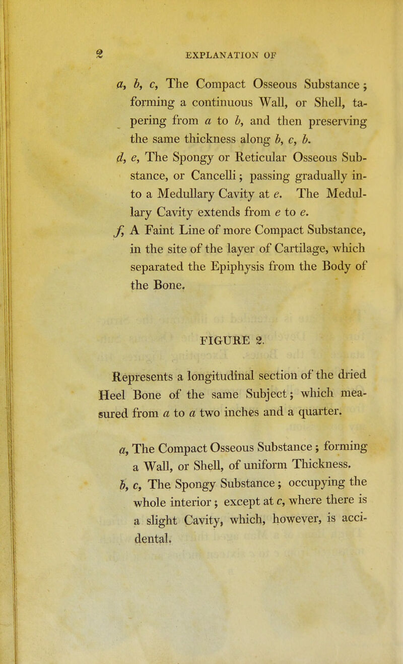 a, b, c9 The Compact Osseous Substance j forming a continuous Wall, or Shell, ta- pering from a to b, and then preserving the same thickness along b, c, b. d, e, The Spongy or Reticular Osseous Sub- stance, or Cancelli; passing gradually in- to a Medullary Cavity at e. The Medul- lary Cavity extends from e to e. f, A Faint Line of more Compact Substance, in the site of the layer of Cartilage, which separated the Epiphysis from the Body of the Bone. FIGURE % Represents a longitudinal section of the dried Heel Bone of the same Subject; which mea- sured from a to a two inches and a quarter. a, The Compact Osseous Substance; forming a Wall, or Shell, of uniform Thickness. by c, The Spongy Substance; occupying the whole interior y except at c, where there is a slight Cavity, which, however, is acci- dental.