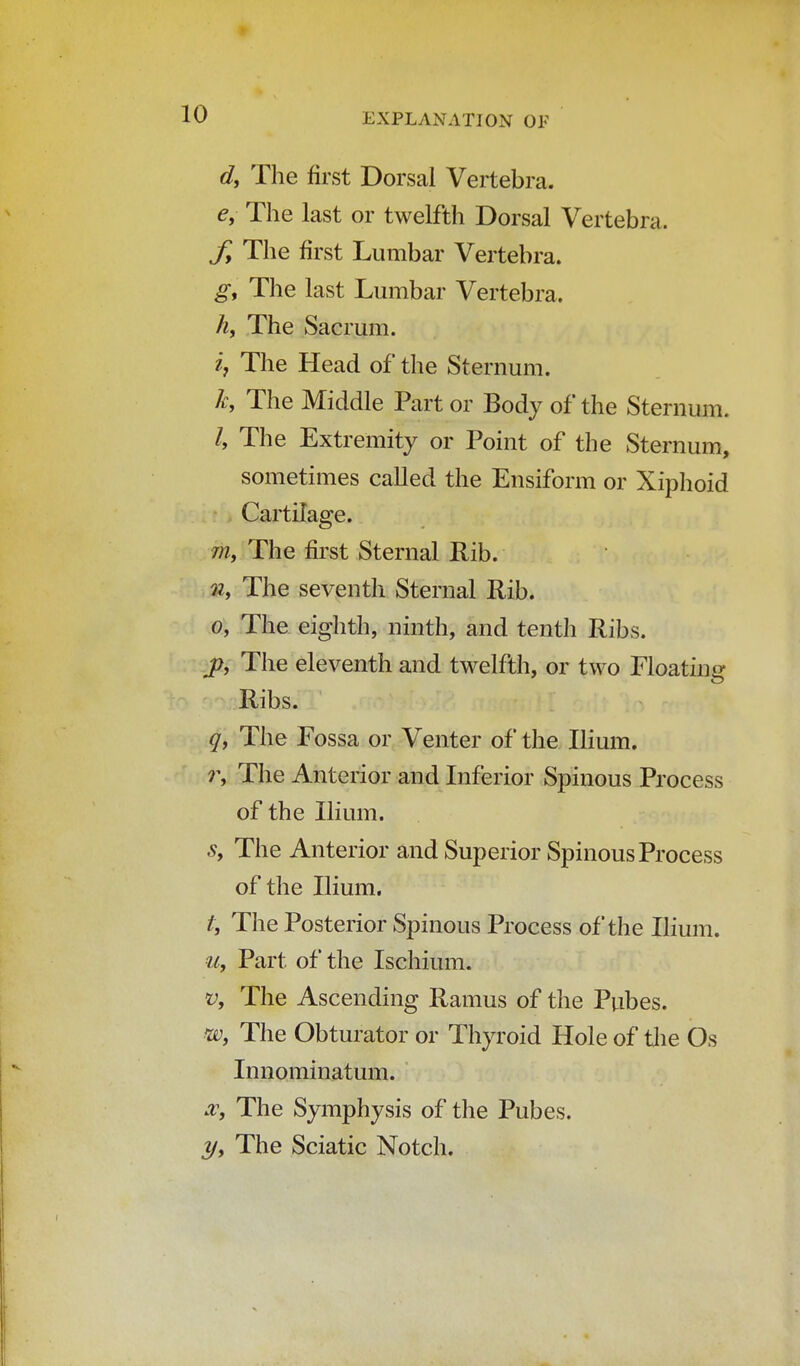 d, The first Dorsai Vertebra. e, The last or twelfth Dorsal Vertebra. ff The first Lumbar Vertebra. g, The last Lumbar Vertebra. h, The Sacrum. i} The Head of the Sternum. k, The Middle Part or Body of the Sternum. /, The Extremity or Point of the Sternum, sometimes called the Ensiform or Xiphoid Cartilage. m, The first Sternal Rib. v, The seventh Sternal Rib. o, The eighth, ninth, and tenth Ribs. jp, The eleventh and twelfth, or two Floating Ribs. q, The Fossa or Venter of the Ilium. r, The Anterior and Inferior Spinous Process of the Ilium. ,9, The Anterior and Superior Spinous Process of the Ilium. t, The Posterior Spinous Process of the Ilium. u, Part of the Ischium. v, The Ascending Ramus of the Pubes. w, The Obturator or Thyroid Hole of the Os Innominatum. x, The Symphysis of the Pubes. y, The Sciatic Notch.