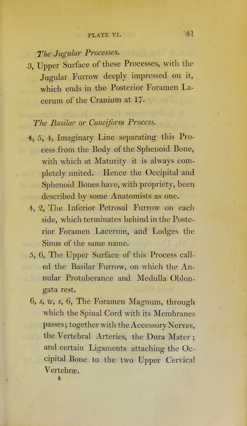 The Jugular Processes. 3, Upper Surface of these Processes, with the Jugular Furrow deeply impressed on it, which ends in the Posterior Foramen La- cerum of the Cranium at 17- The Basilar or Cuneiform Process. 4, 5, 4, Imaginary Line separating this Pro- cess from the Body of the Sphenoid Bone, with which at Maturity it is always com- pletely united. Hence the Occipital and Sphenoid Bones have, with propriety, been described by some Anatomists as one. 4, % The Inferior Petrosal Furrow on each side, which terminates behind in the Poste- rior Foramen Lacerum, and Lodges the Sinus of the same name. 5, 6, The Upper Surface of this Process call- ed the Basilar Furrow, on which the An- nular Protuberance and Medulla Oblon- gata rest. 6, s} w, s, 6, The Foramen Magnum, through which the Spinal Cord with its Membranes passes; together with the Accessory Nerves, the Vertebral Arteries, the Dura Mater ; and certain Ligaments attaching the Oc - cipital Bone to the two Upper Cervical Vertebrae. 4