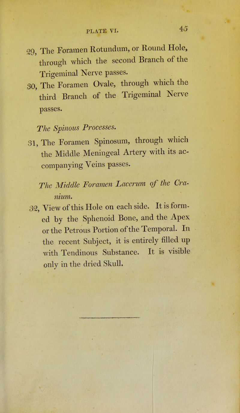 29, The Foramen Rotundum, or Round Hole, through which the second Branch of the Trigeminal Nerve passes. 30, The Foramen Ovale, through which the third Branch of the Trigeminal Nerve passes. The Spinous Processes. 31, The Foramen Spinosum, through which the Middle Meningeal Artery with its ac- companying Veins passes. The Middle Foramen Lacerum of the Cra- nium. 32, View of this Hole on each side. It is form- ed by the Sphenoid Bone, and the Apex or the Petrous Portion of the Temporal. In the recent Subject, it is entirely filled up with Tendinous Substance. It is visible only in the dried Skull.