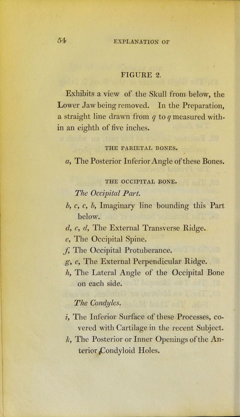 54> FIGURE 2. Exhibits a view of the Skull from below, the Lower Jaw being removed. In the Preparation, a straight line drawn from q to q measured with- in an eighth of five inches. THE PARIETAL BONES. 0, The Posterior Inferior Angle of these Bones. THE OCCIPITAL BONE. The Occipital Part, b, c, c, b, Imaginary line bounding this Part below. d, e, d, The External Transverse Ridge. e, The Occipital Spine. f, The Occipital Protuberance. g, e, The External Perpendicular Ridge. h, The Lateral Angle of the Occipital Bone on each side. The Condyles. 1, The Inferior Surface of these Processes, co- vered with Cartilage in the recent Subject. 7f, The Posterior or Inner Openings of the An- terior Condyloid Holes.