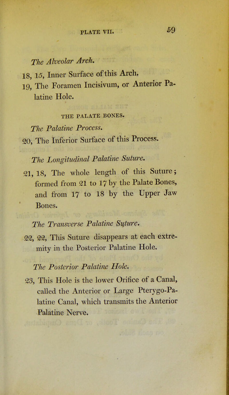 The Alveolar Arch. 18, 15, Inner Surface of this Arch. 19, The Foramen Incisivum, or Anterior Pa- latine Hole. THE PALATE BONES. The Palatine Process. 20, The Inferior Surface of this Process. The Longitudinal Palatine Suture. 21,18, The whole length of this Suture; formed from 21 to 17 by the Palate Bones, and from 17 to 18 by the Upper Jaw Bones. The Transverse Palatine Suture. 22, 22, This Suture disappears at each extre- mity in the Posterior Palatine Hole. The Posterior Palatine Hole. 23, This Hole is the lower Orifice of a Canal, called the Anterior or Large Pterygopa- latine Canal, which transmits the Anterior Palatine Nerve.