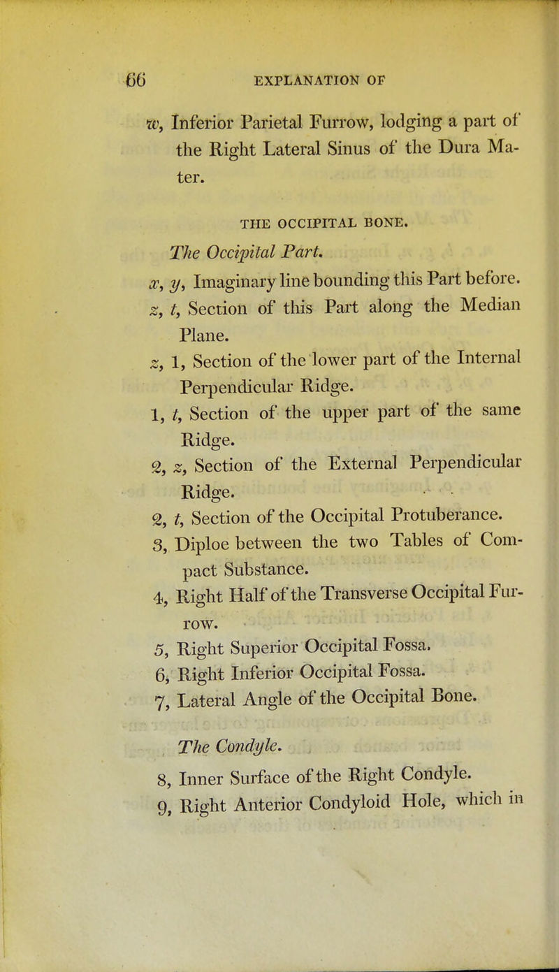 W, Inferior Parietal Furrow, lodging a part of the Right Lateral Sinus of the Dura Ma- ter. THE OCCIPITAL BONE. The Occipital Part. y, Imaginary line bounding this Part before. #, t, Section of this Part along the Median Plane. z, 1, Section of the lower part of the Internal Perpendicular Ridge. 1, t, Section of the upper part of the same Ridge. % z, Section of the External Perpendicular Ridge. % t, Section of the Occipital Protuberance. 3, Diploe between the two Tables of Com- pact Substance. 4, Right Half of the Transverse Occipital Fur- row. 5, Right Superior Occipital Fossa. 6, Right Inferior Occipital Fossa. 7, Lateral Angle of the Occipital Bone. The Condyle. 8, Inner Surface of the Right Condyle. 9, Right Anterior Condyloid Hole, which in