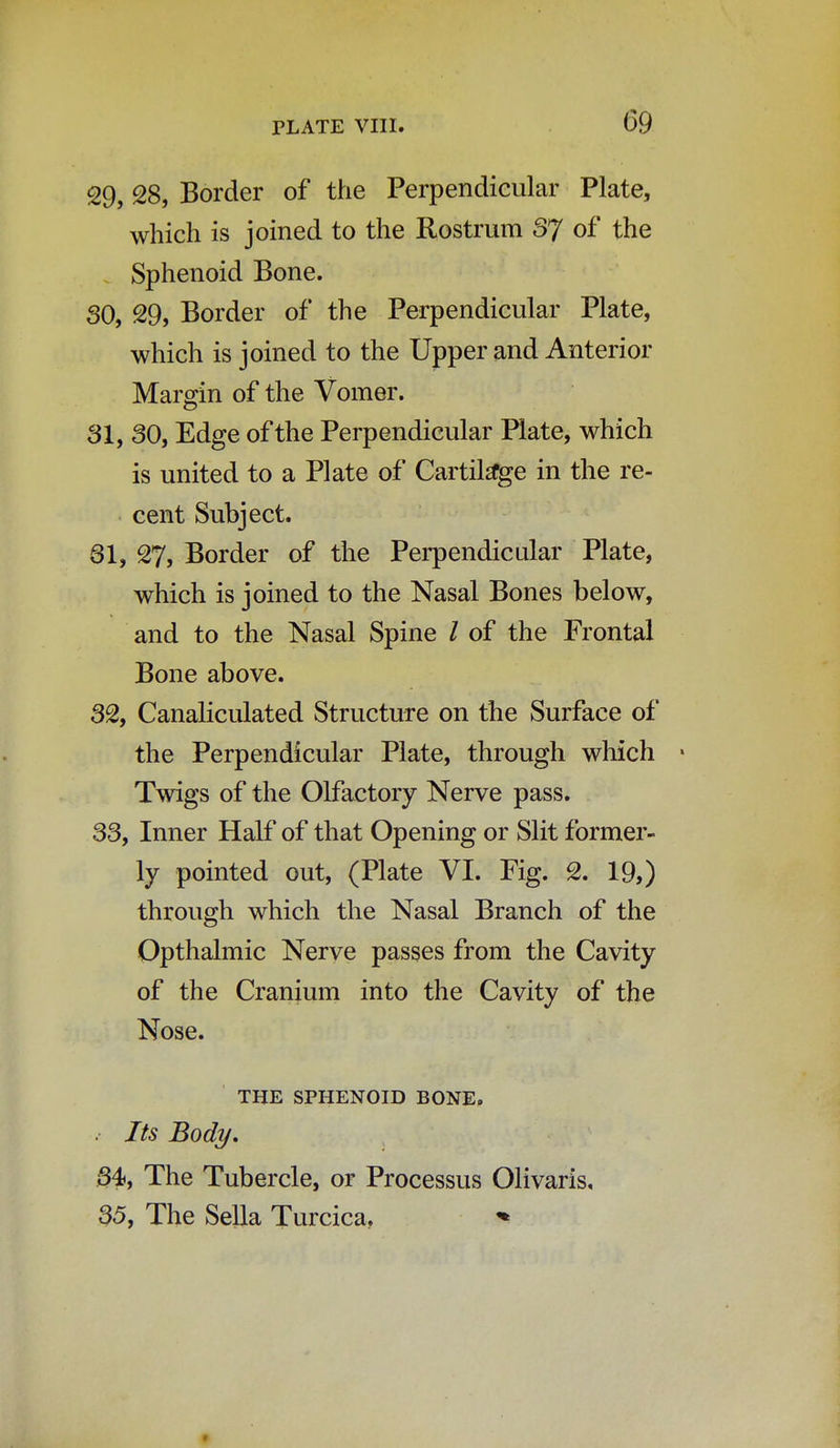 29, 28, Border of the Perpendicular Plate, which is joined to the Rostrum 37 of the Sphenoid Bone. SO, 29, Border of the Perpendicular Plate, which is joined to the Upper and Anterior Margin of the Vomer. 31, 30, Edge of the Perpendicular Plate, which is united to a Plate of Cartilage in the re- cent Subject. 31, 27, Border of the Perpendicular Plate, which is joined to the Nasal Bones below, and to the Nasal Spine / of the Frontal Bone above. 32, Canaliculated Structure on the Surface of the Perpendicular Plate, through which » Twigs of the Olfactory Nerve pass. 33, Inner Half of that Opening or Slit former- ly pointed out, (Plate VI. Fig. 2. 19,) through which the Nasal Branch of the Opthalmic Nerve passes from the Cavity of the Cranium into the Cavity of the Nose. THE SPHENOID BONE. . Its Body, 34, The Tubercle, or Processus Olivaris, 35, The Sella Turcica. *