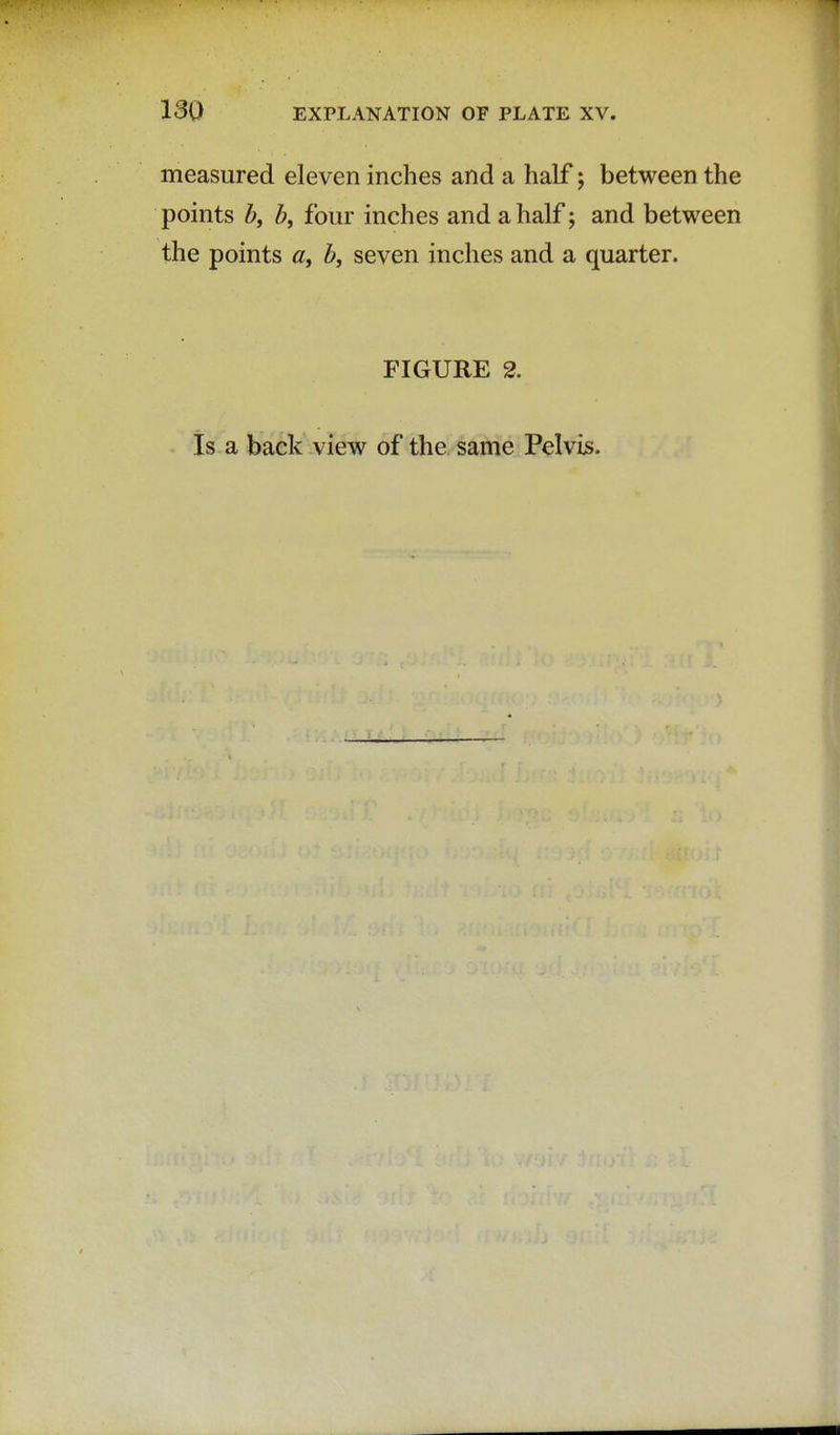 measured eleven inches and a half; between the points b, b, four inches and a half; and between the points «, b, seven inches and a quarter. FIGURE 2. Is a back view of the same Pelvis.