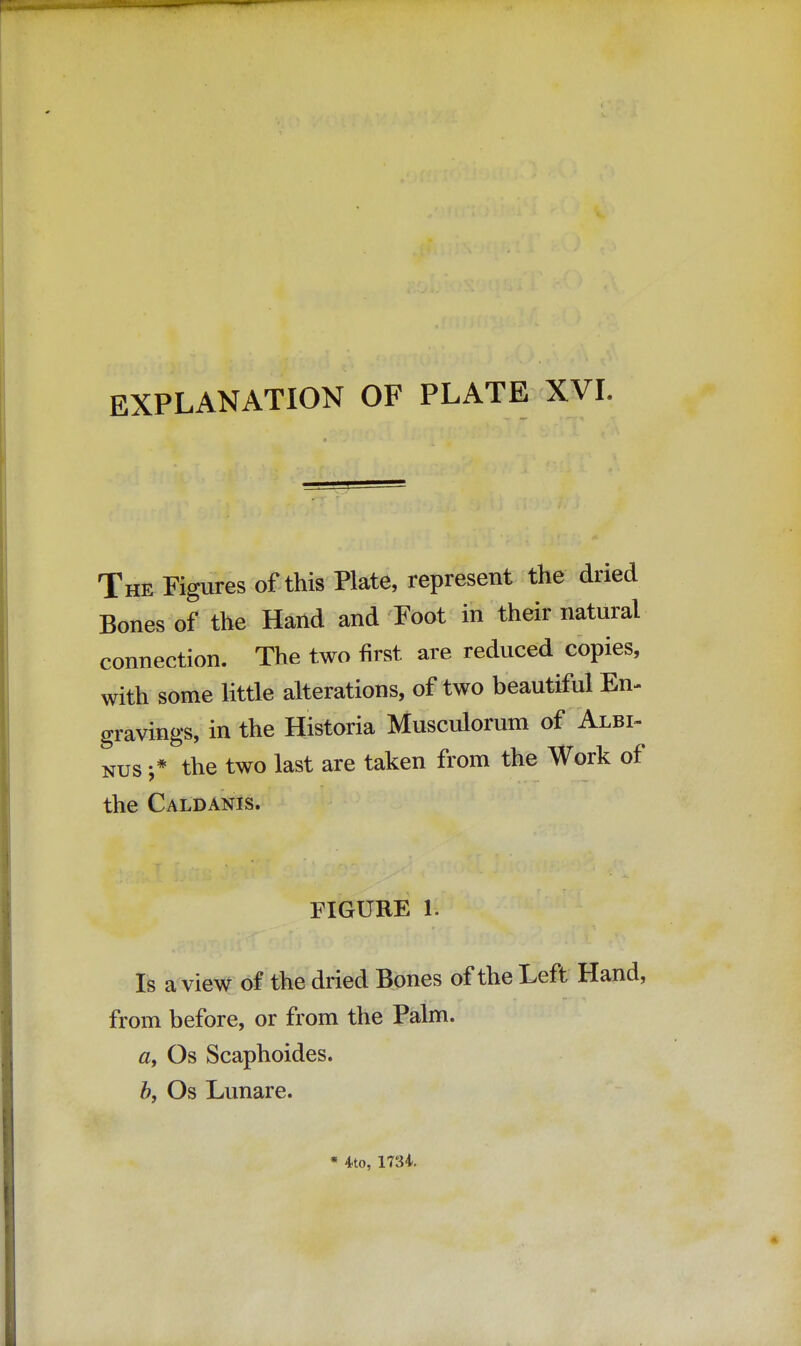 The Figures of this Plate, represent the dried Bones of the Hand and Foot in their natural connection. The two first are reduced copies, with some little alterations, of two beautiful En- gravings, in the Historia Musculorum of Albi- nus f the two last are taken from the Work of the Caldanis. FIGURE 1. Is a view of the dried Bones of the Left Hand, from before, or from the Palm. a, Os Scaphoides. b, Os Lunare. * 4to, 1734.